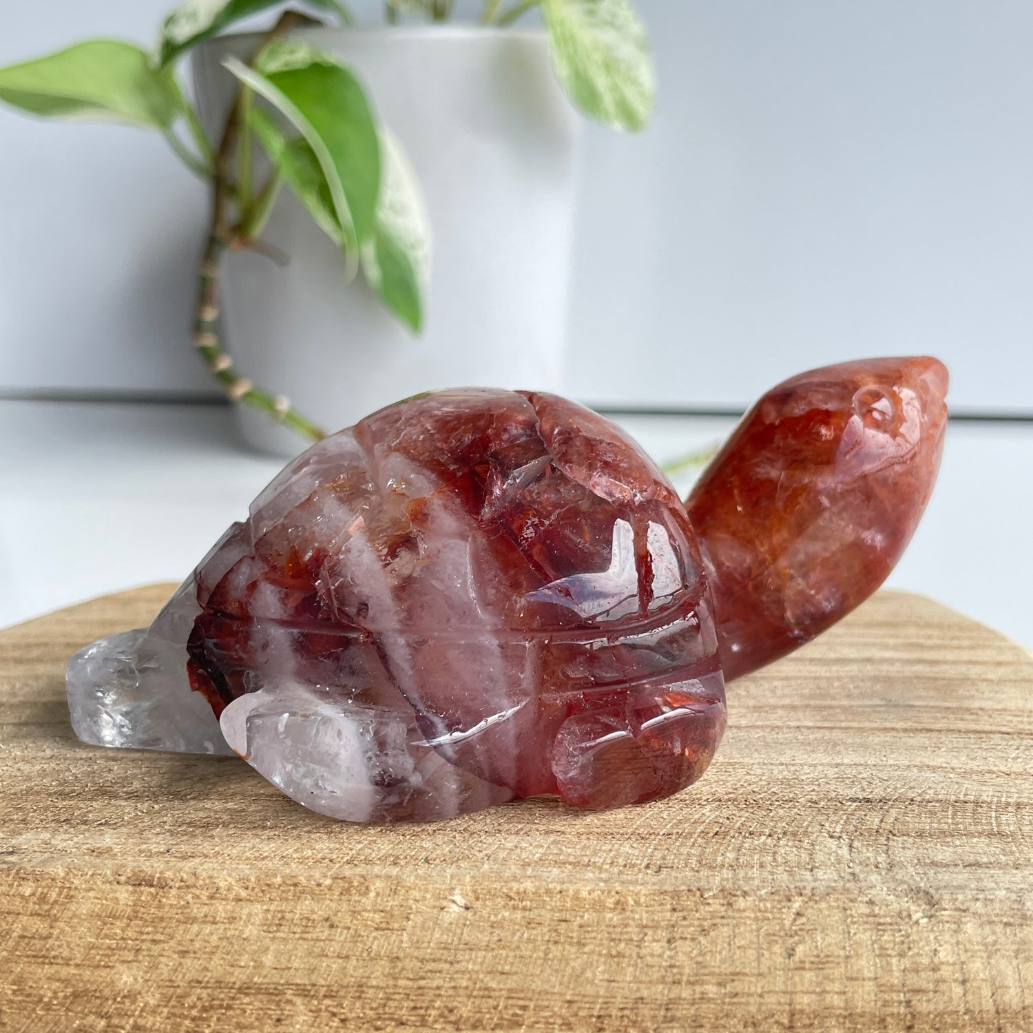 Fire Quartz Turtle 320g