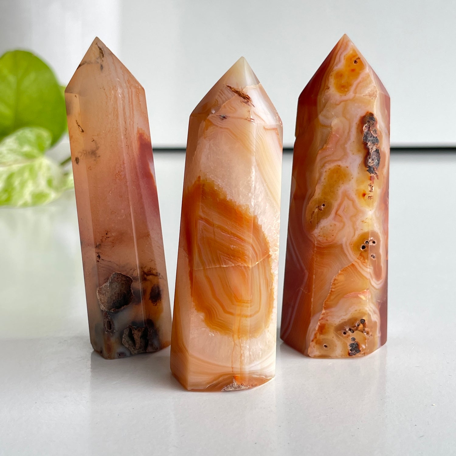 Carnelian Generator Small