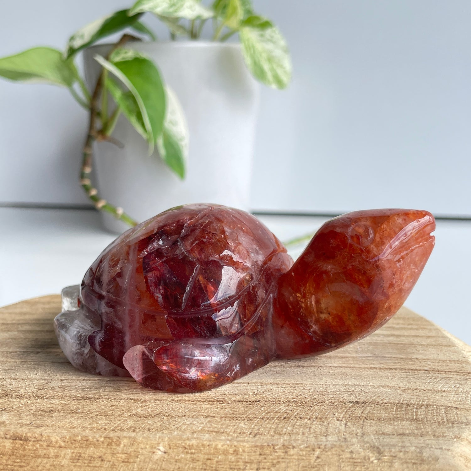 Fire Quartz Turtle 320g