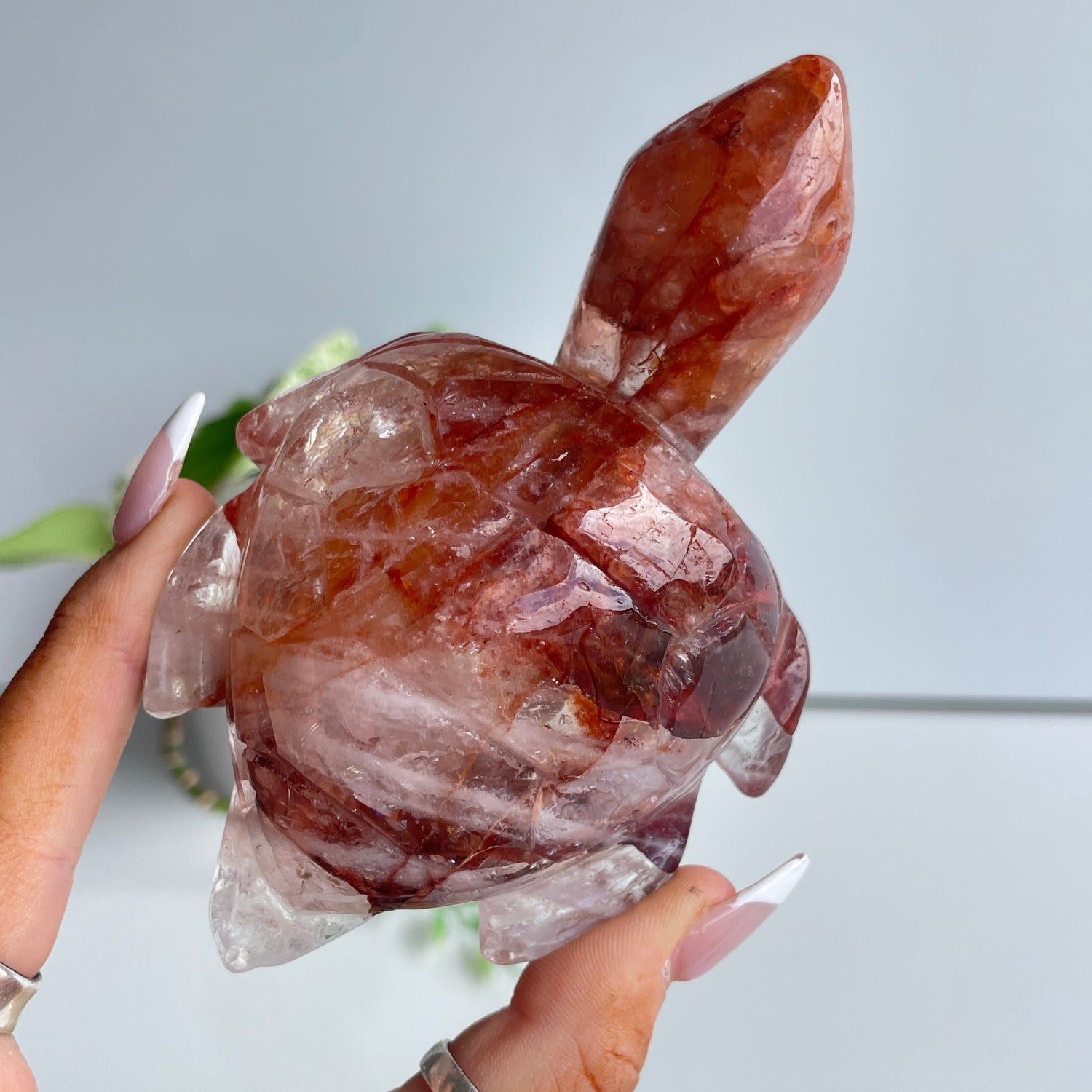 Fire Quartz Turtle 320g