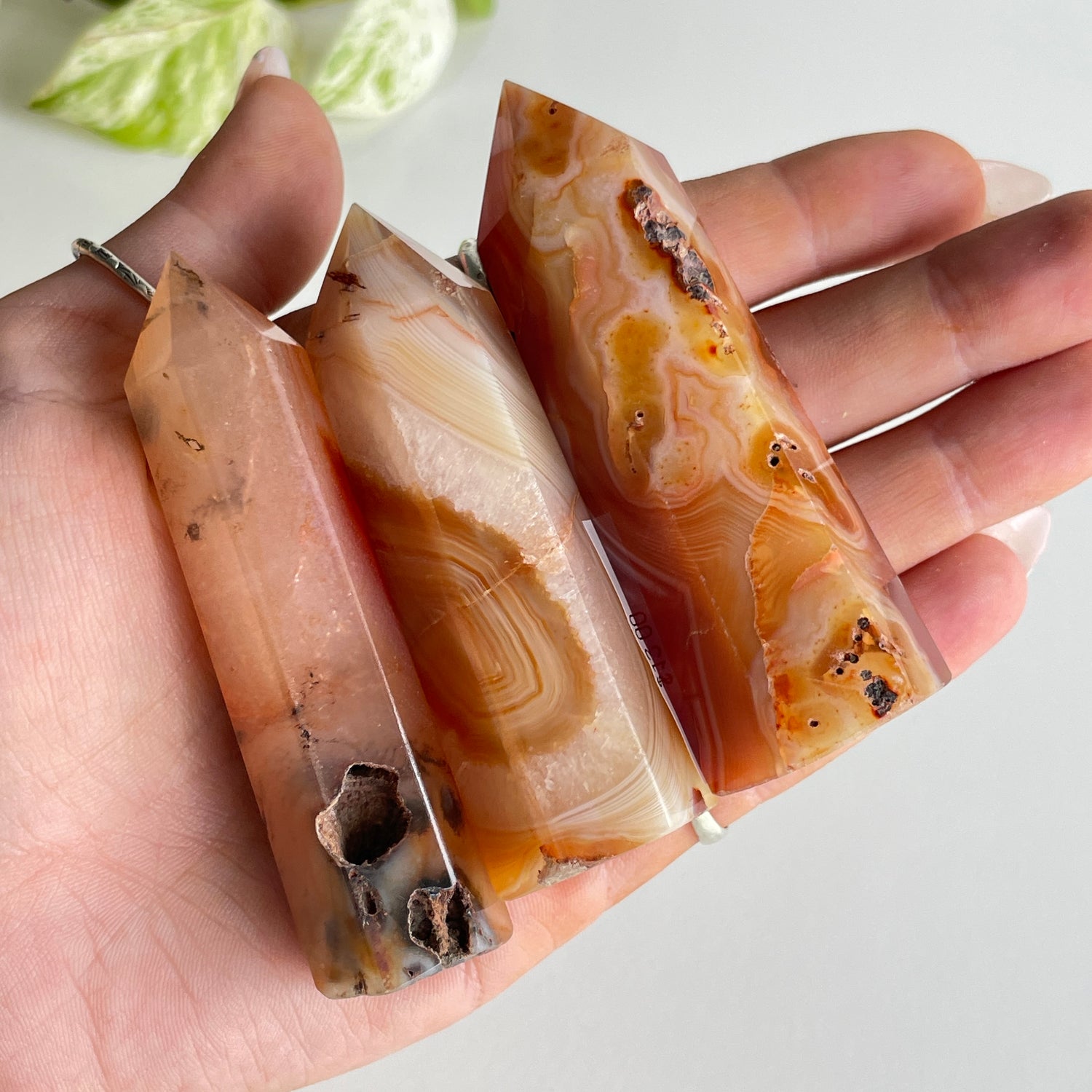 Carnelian Generator Small