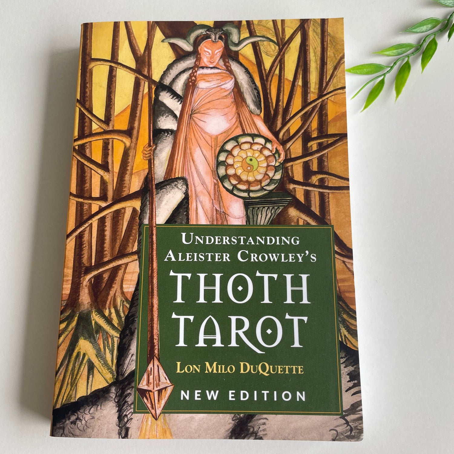 Understanding Thoth Tarot Lon DuQuette