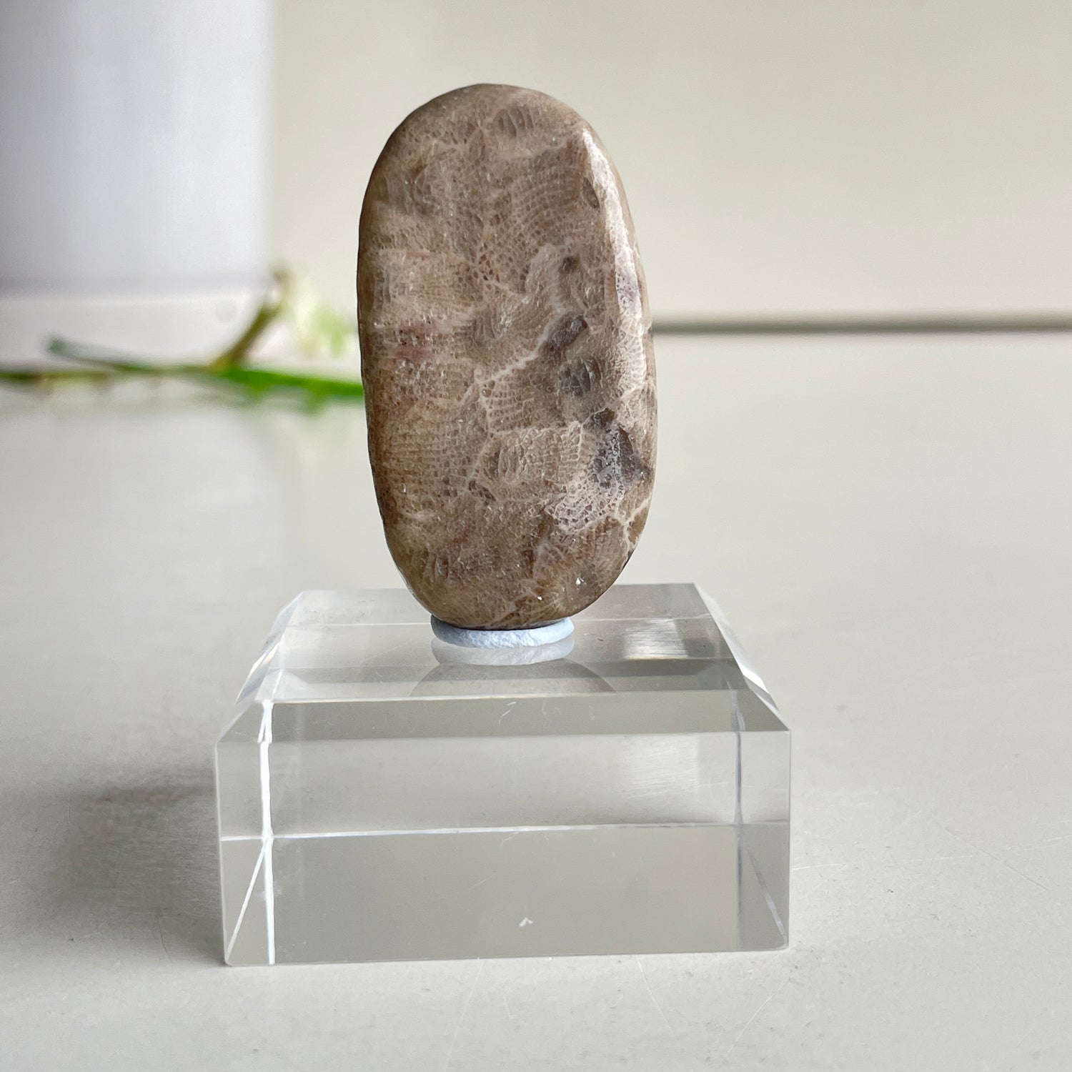 Petoskey Stone Pce