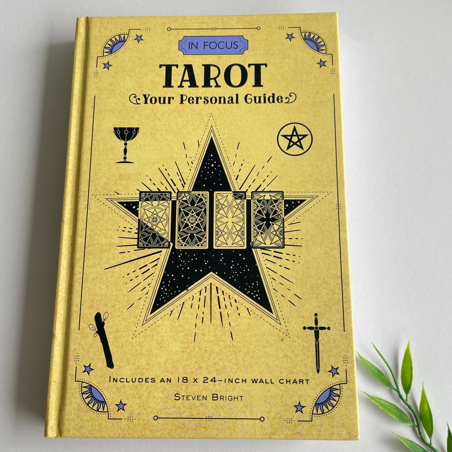 In Focus Tarot Steven Bright