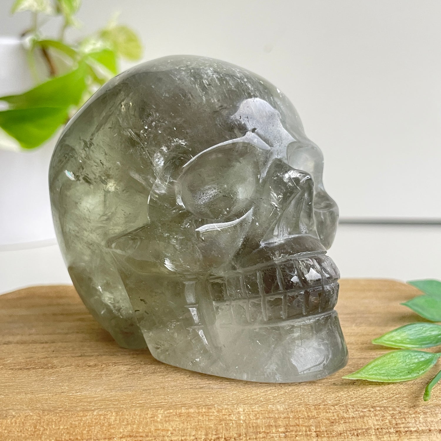Prasiolite Green Amethyst Skull