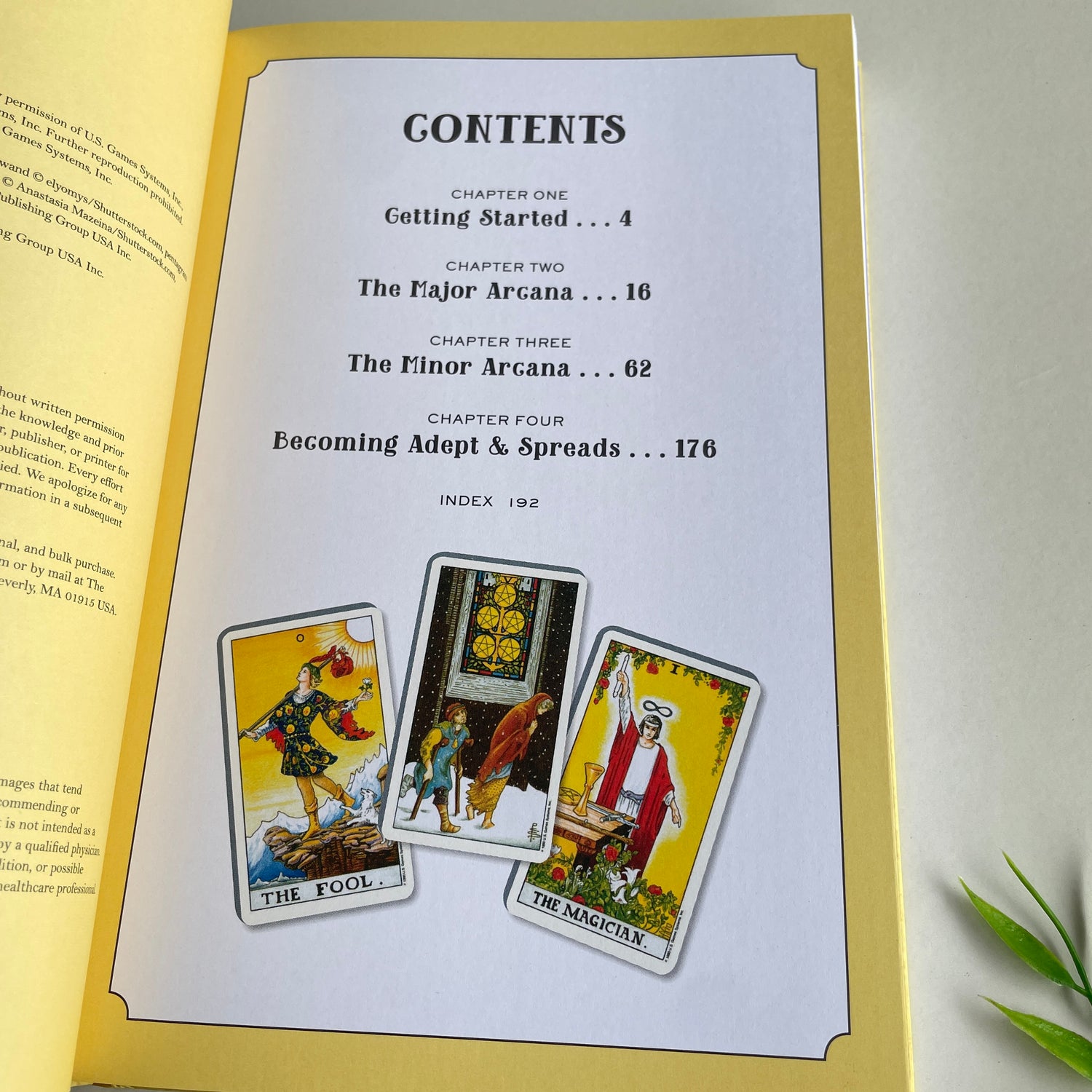 In Focus Tarot Steven Bright
