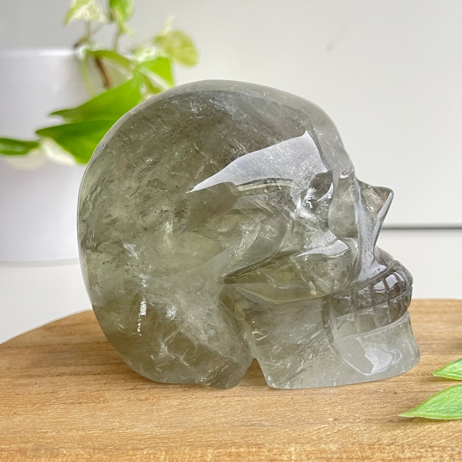 Prasiolite Green Amethyst Skull