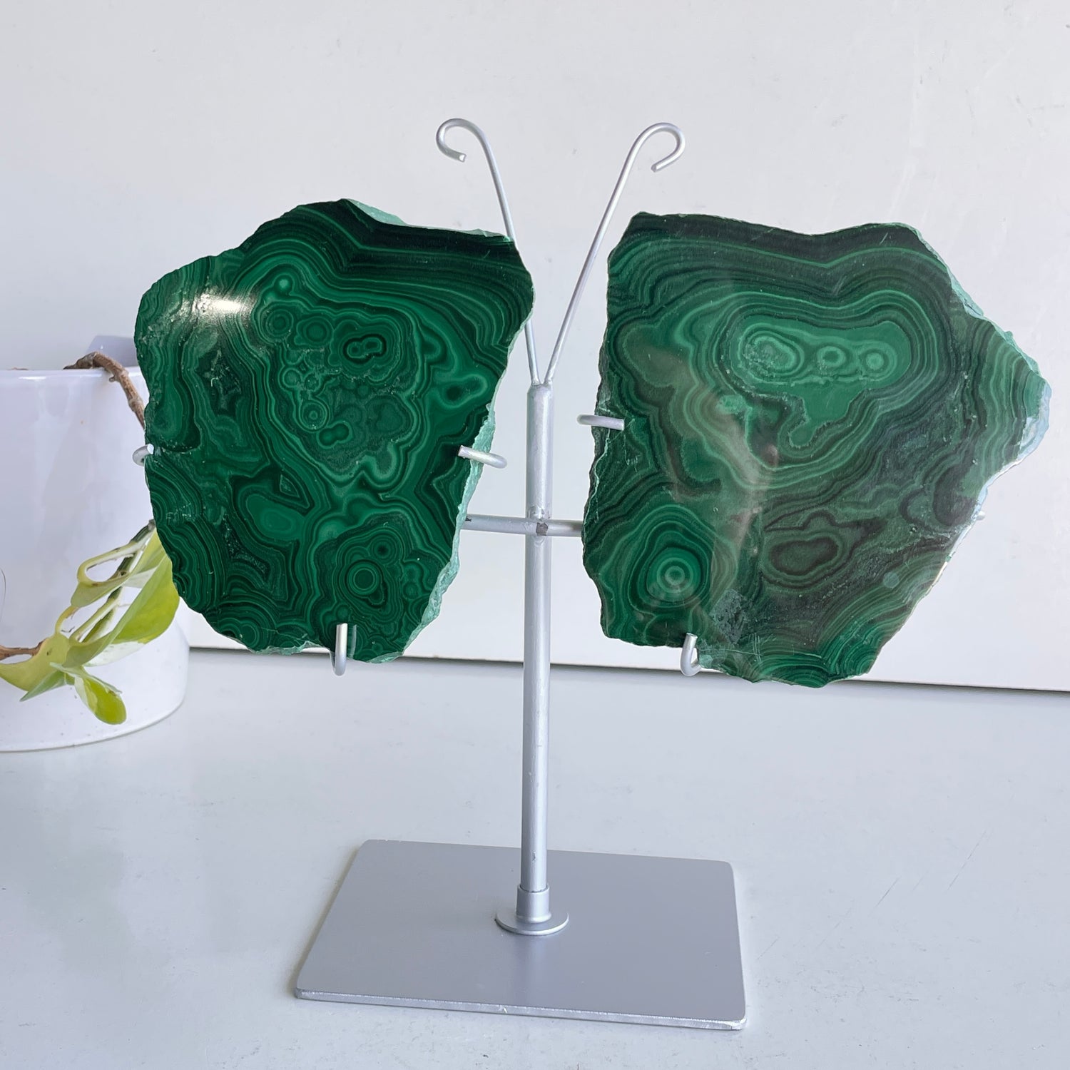 Malachite Wings In Stand 1kg