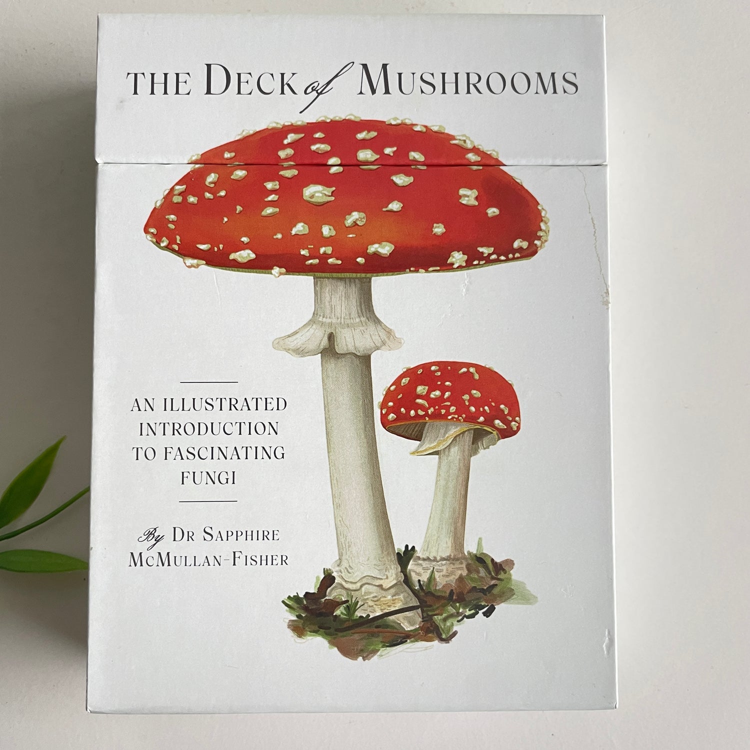 The Deck Of Mushrooms Dr Sapphire McMullan Fisher