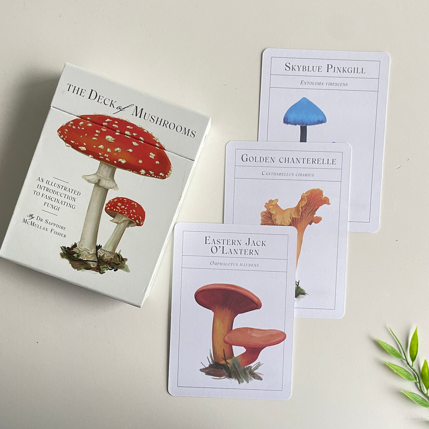 The Deck Of Mushrooms Dr Sapphire McMullan Fisher