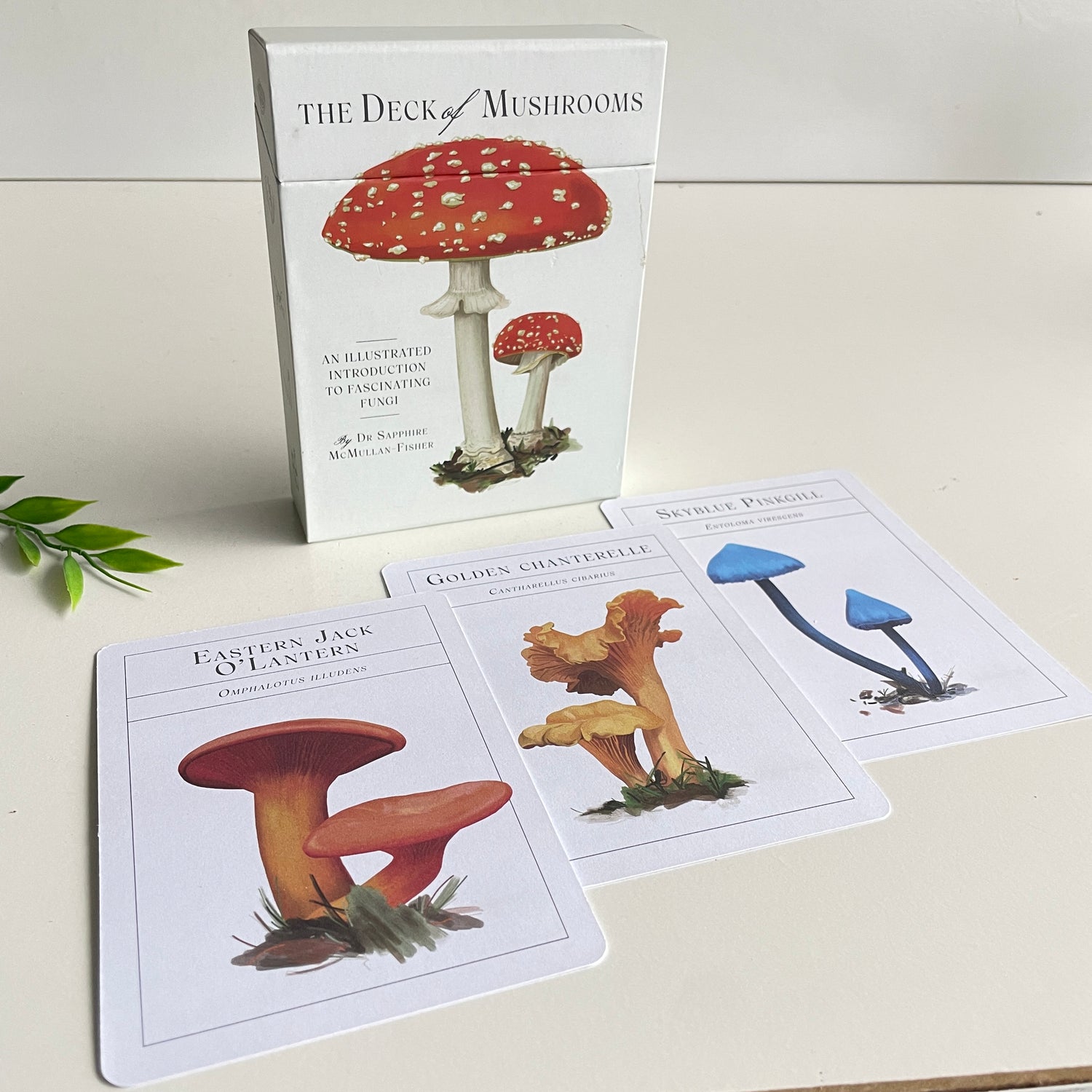 The Deck Of Mushrooms Dr Sapphire McMullan Fisher