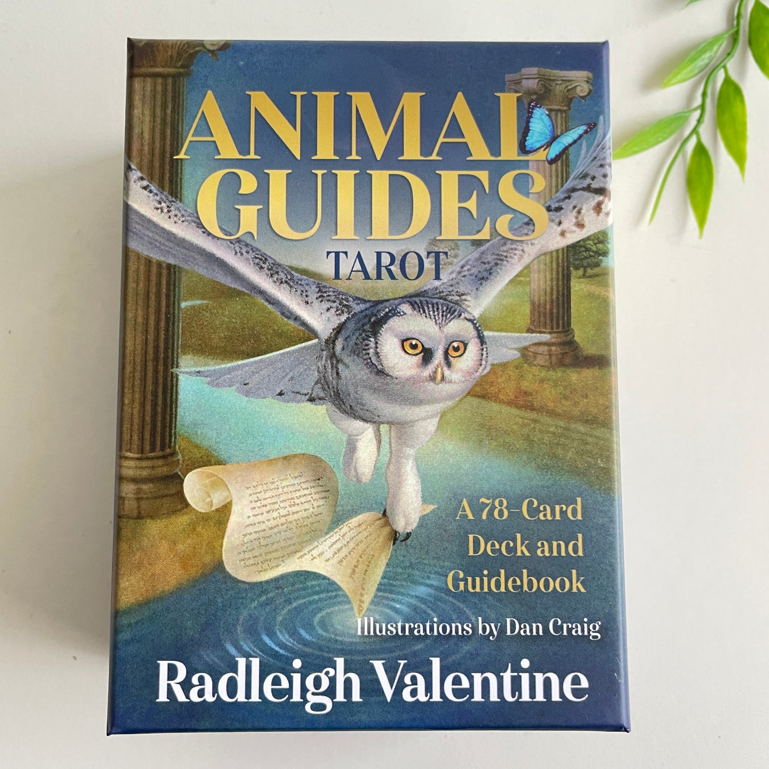 Animal Guides Tarot Radleigh Valentine