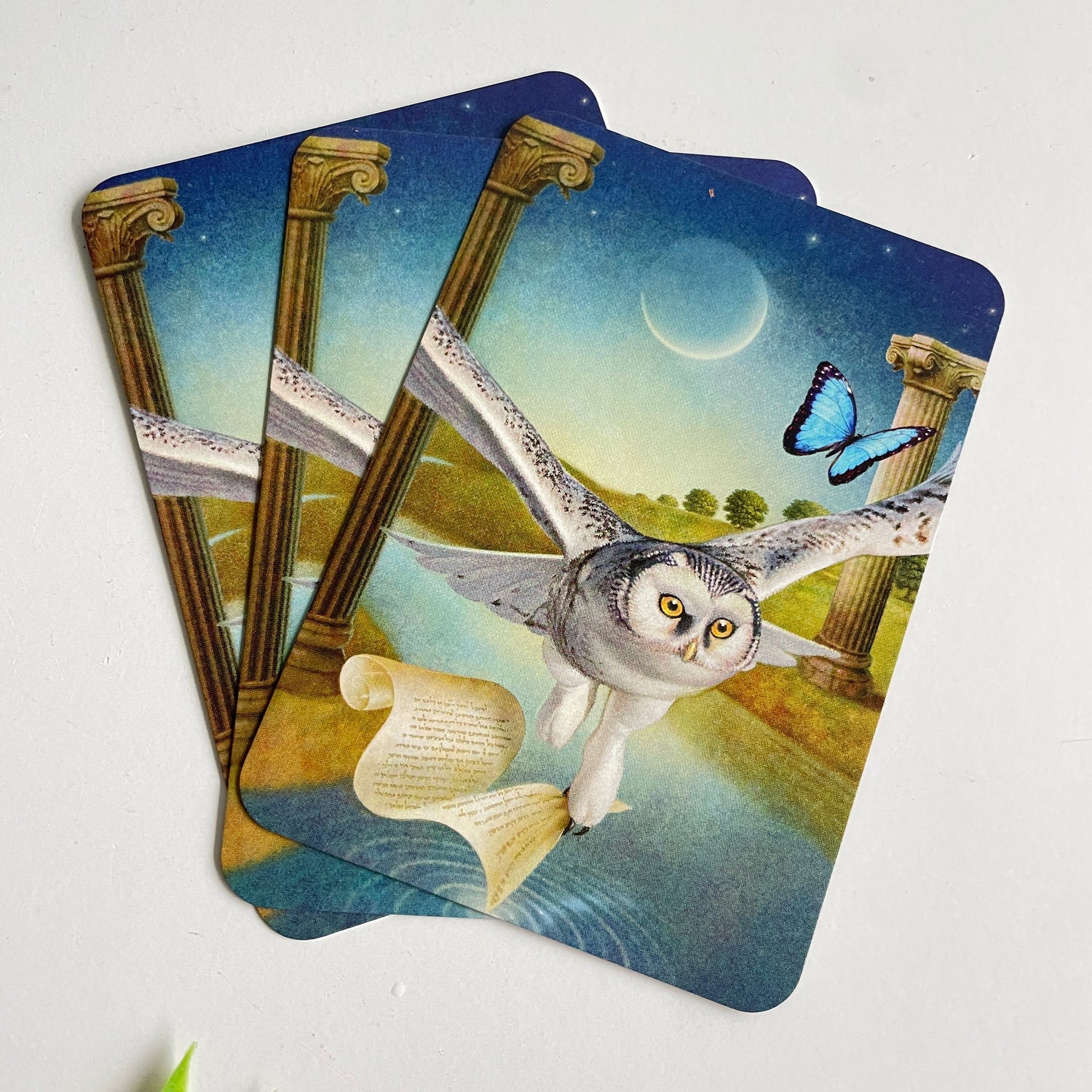 Animal Guides Tarot Radleigh Valentine