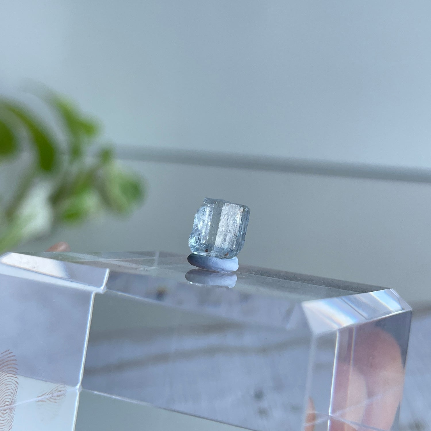 Far Nth Qld Blue Topaz Pc .47g