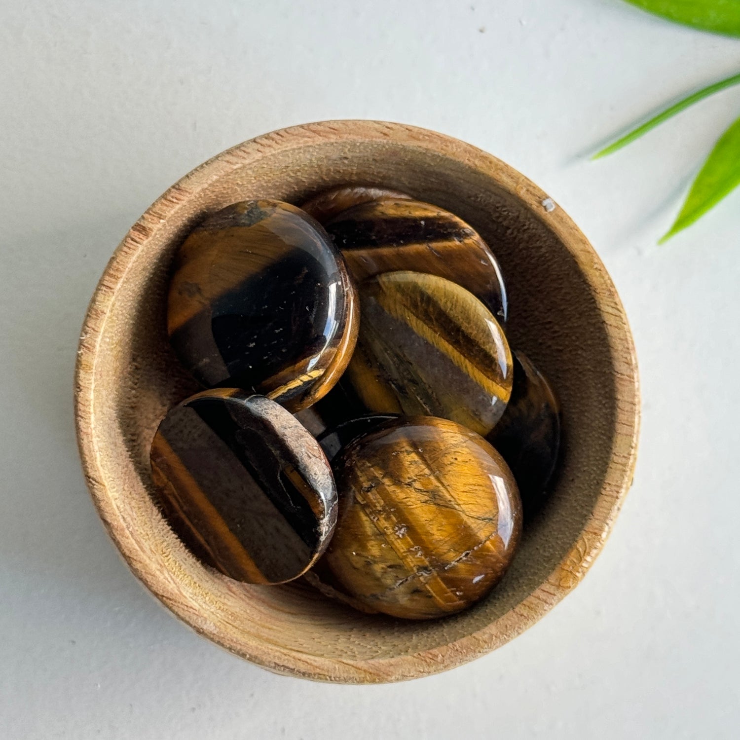 Tigers Eye Bra Buddy