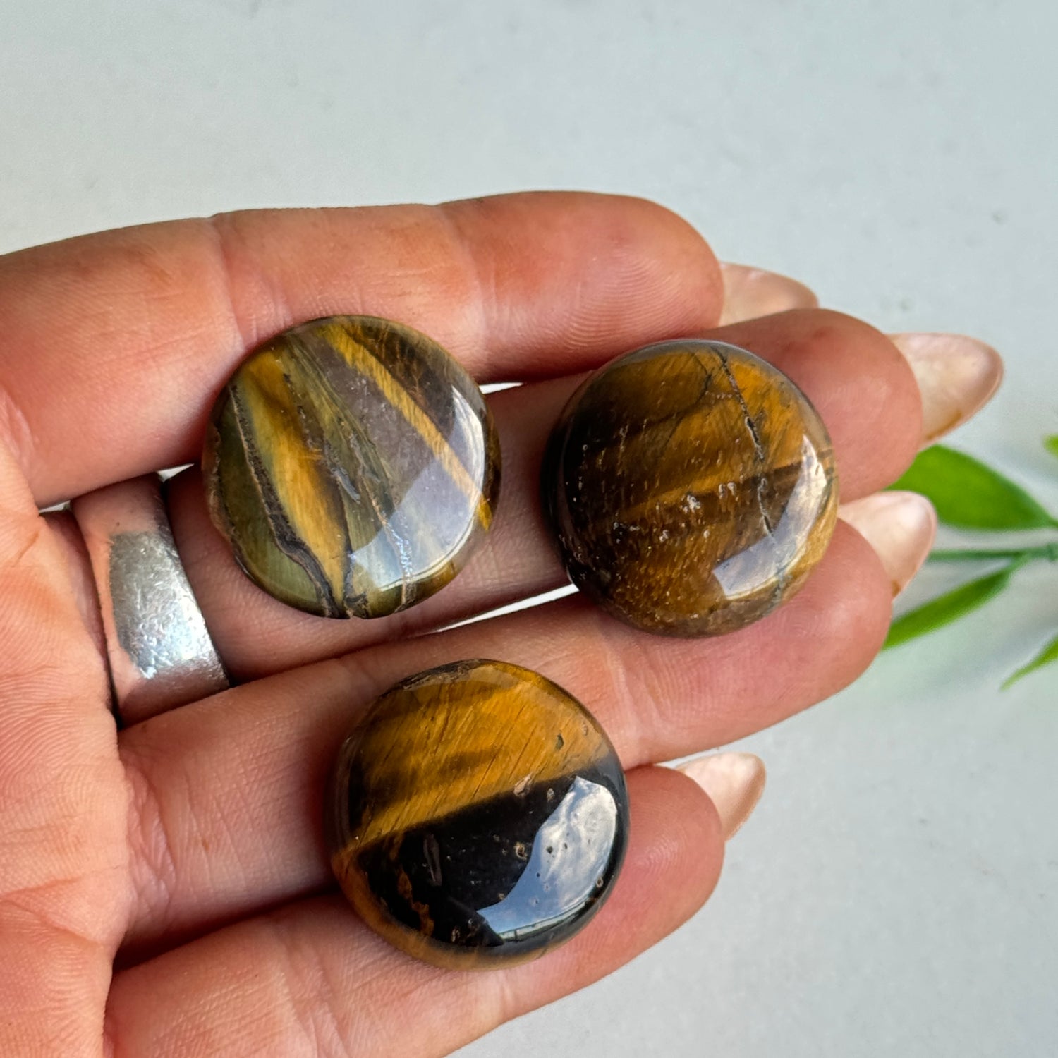 Tigers Eye Bra Buddy