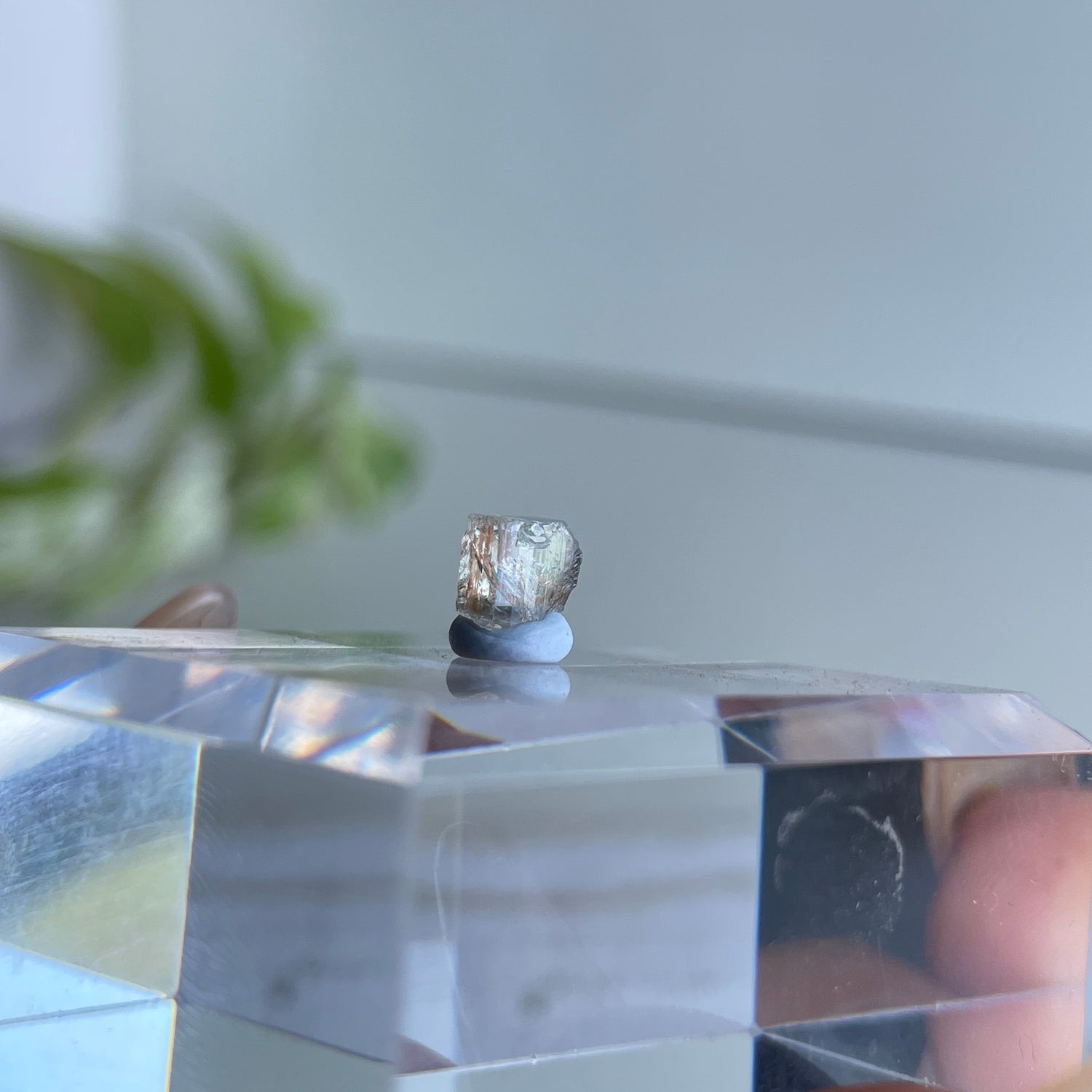 Far Nth Qld Blue Topaz Pc .24g