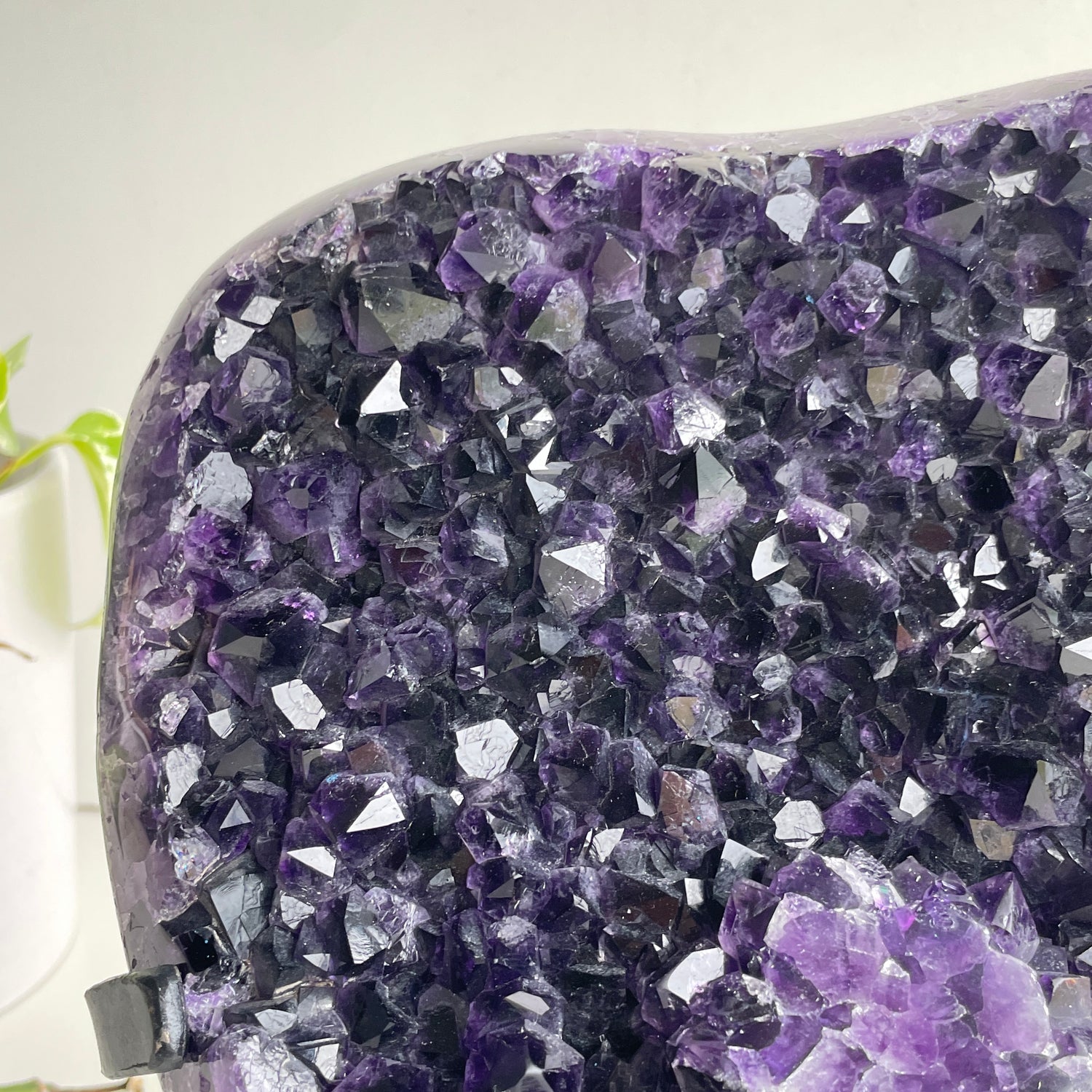 Amethyst Cluster In Stand 4.096kg