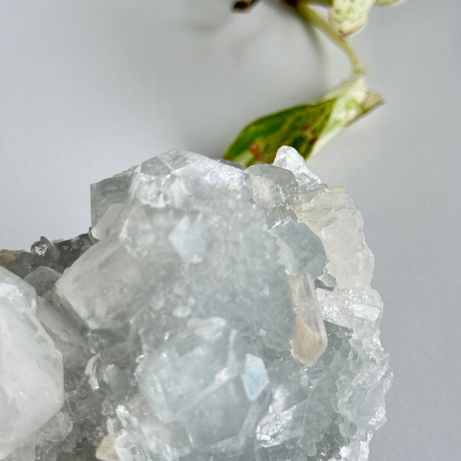 Apophyllite Cluster 1.016kg