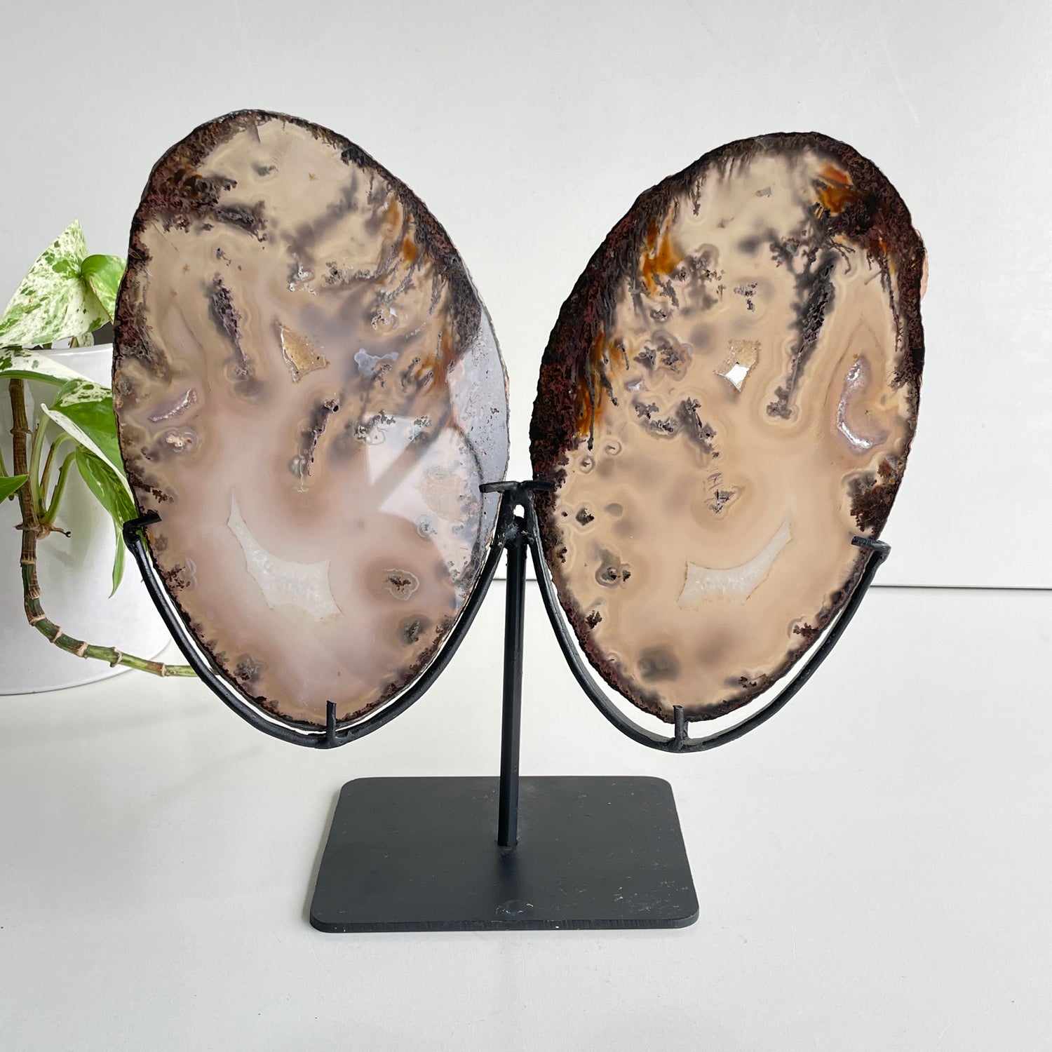 Agate Wings In Stand