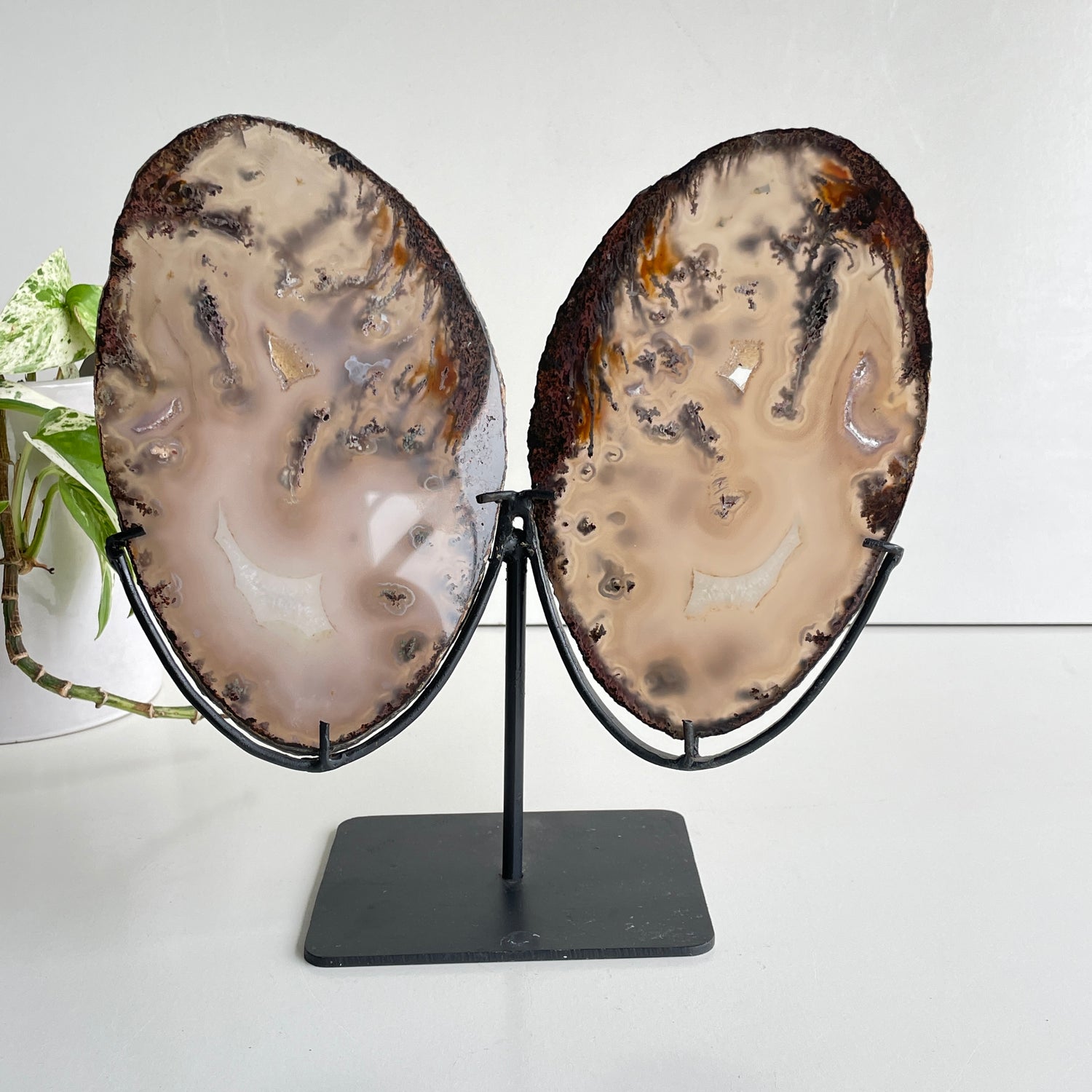 Agate Wings In Stand