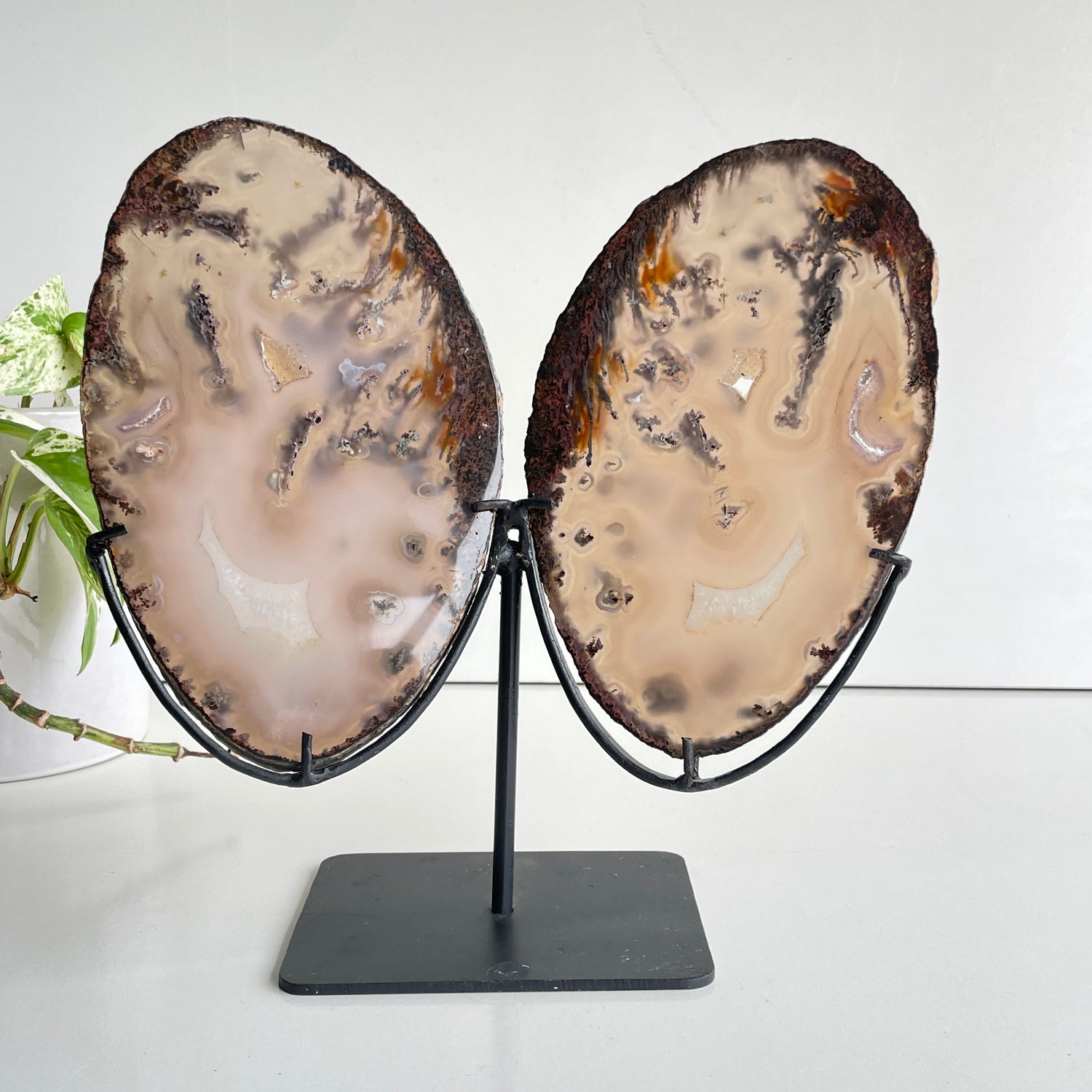 Agate Wings In Stand