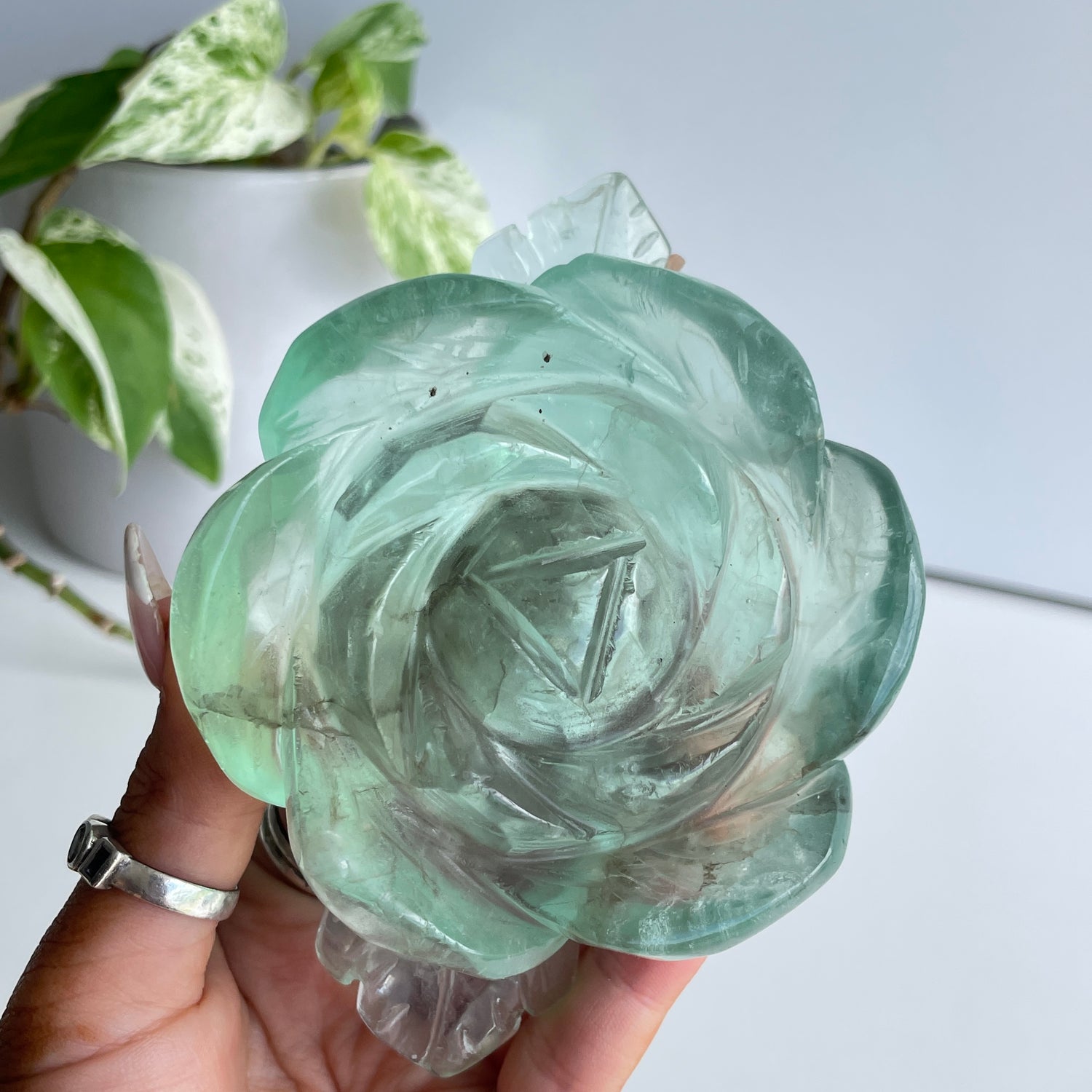 Fluorite Rose 12cm