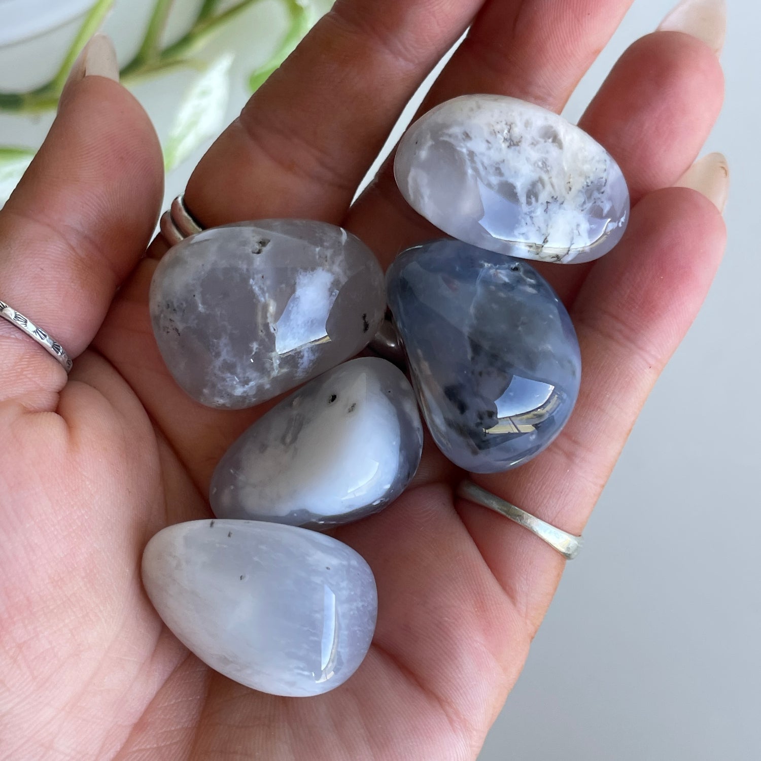 Dendritic Opal Tumbled