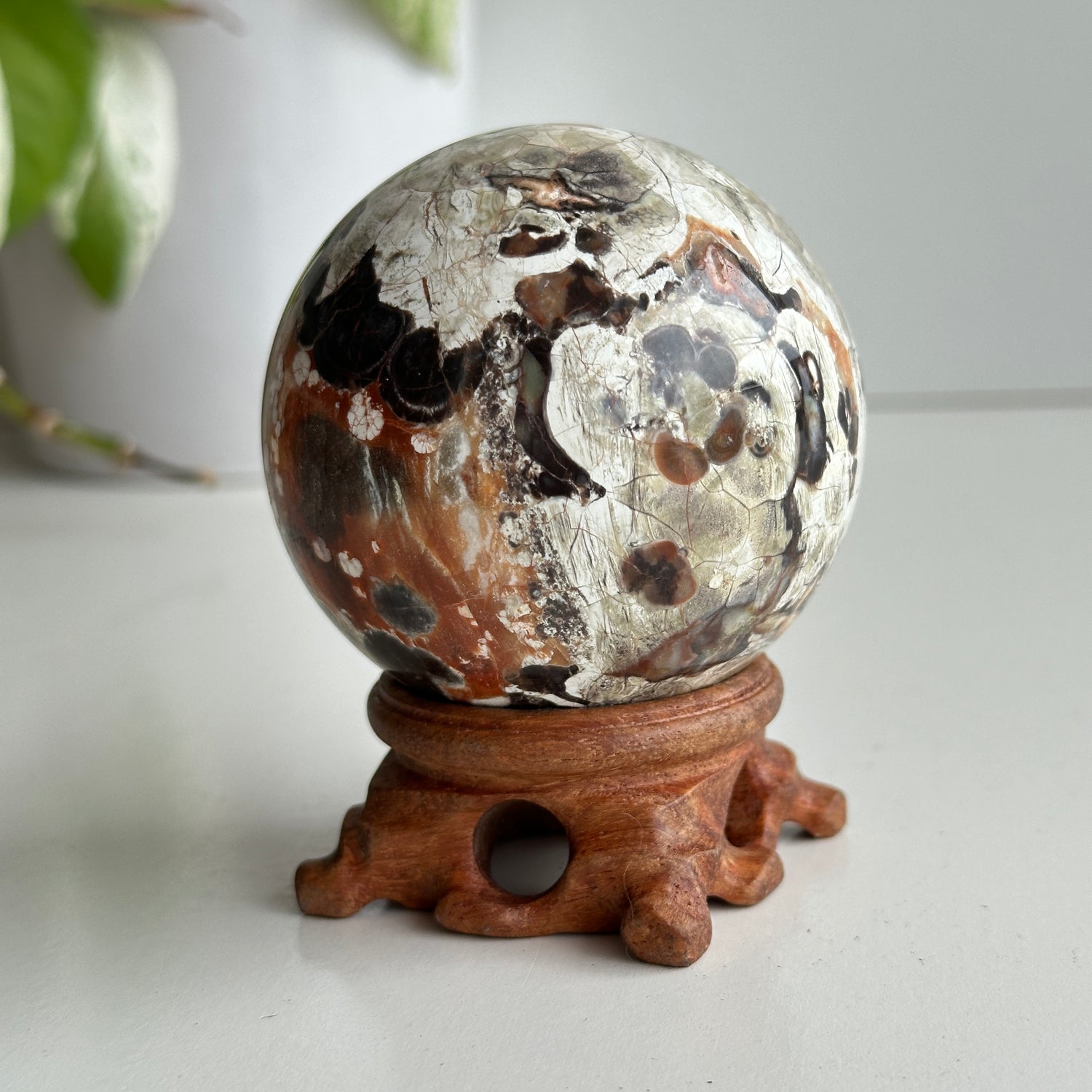 Money Agate Sphere 6.9cm