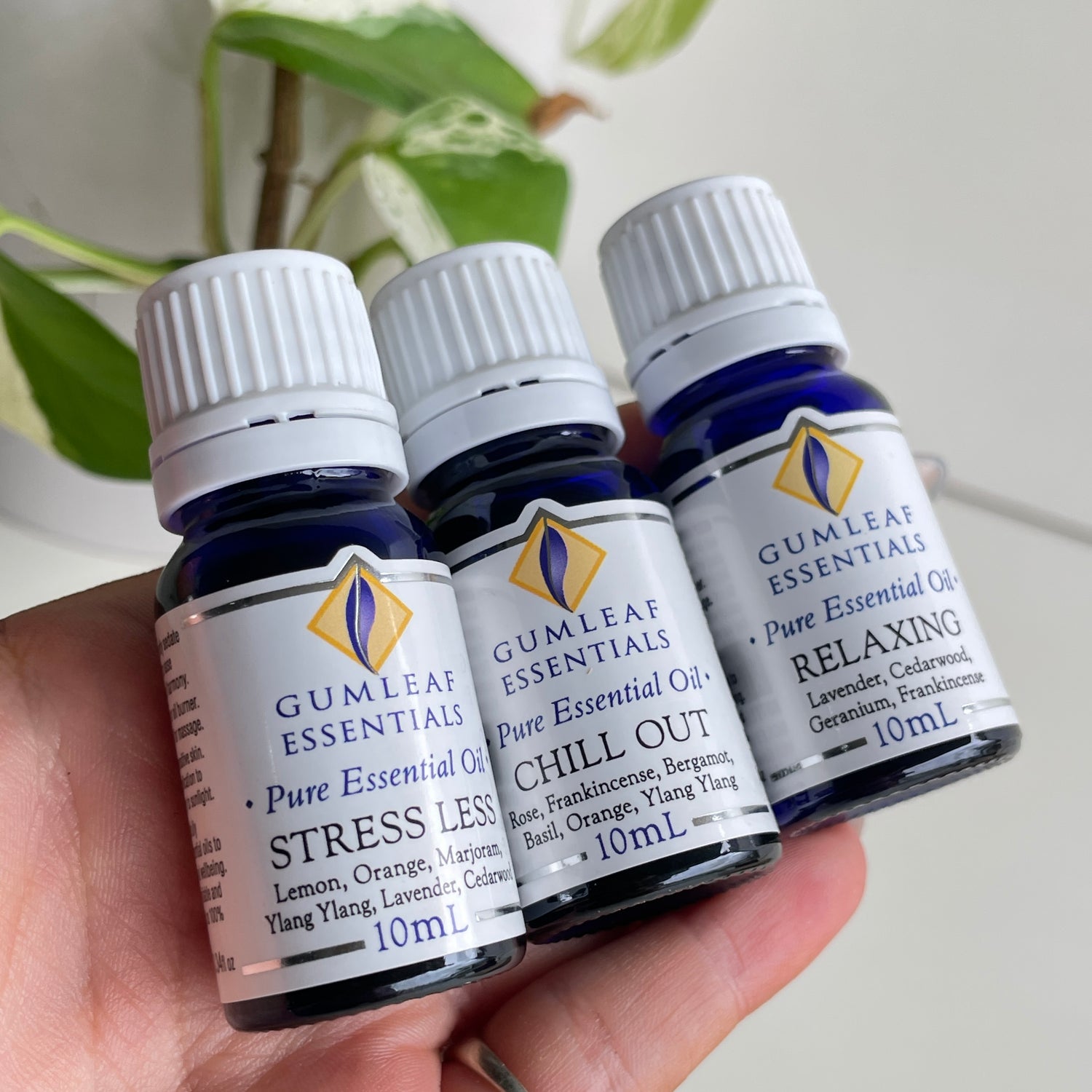 Gumleaf Relax Trio Essential Oil Set