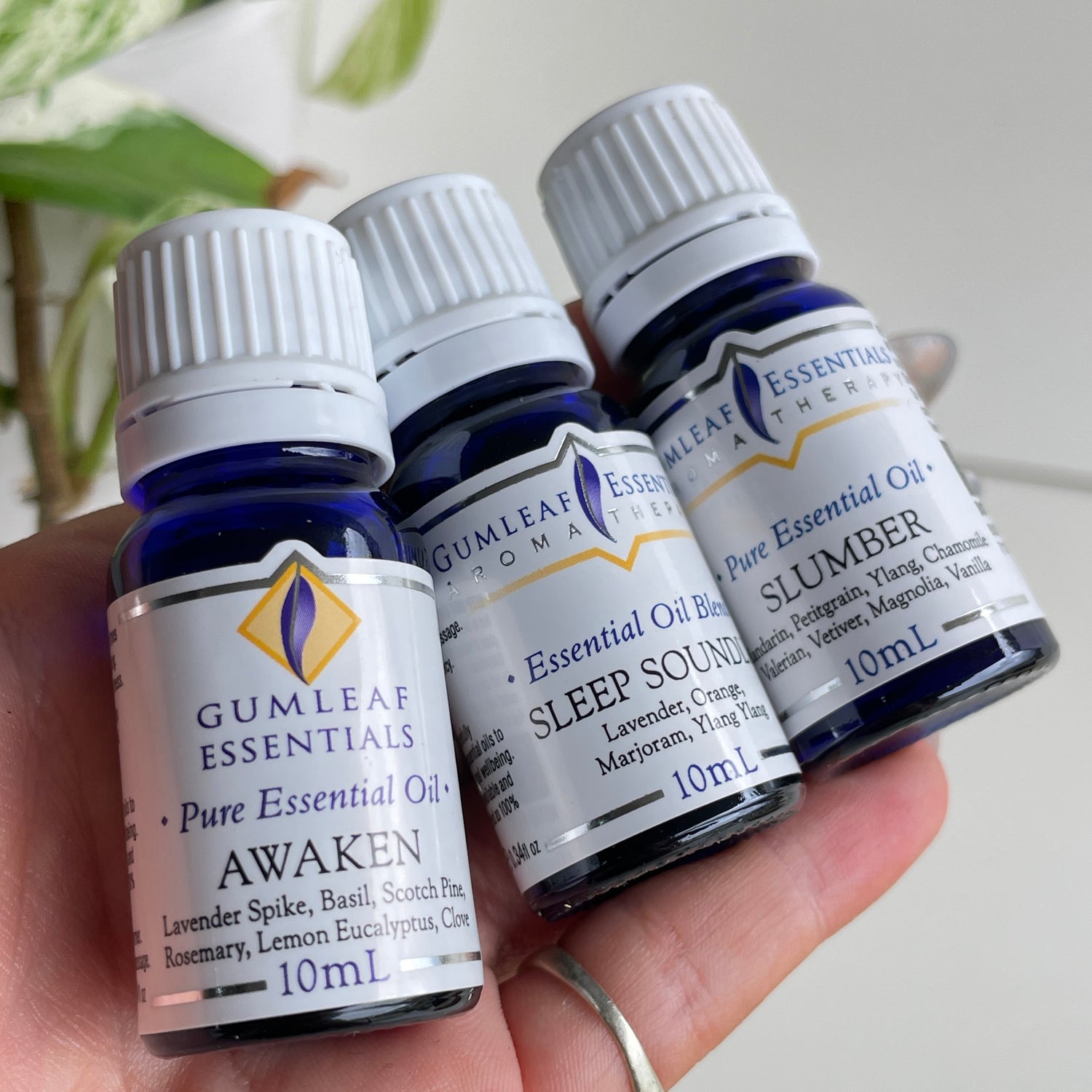 Gumleaf Relax Sleep Essential Oil Set
