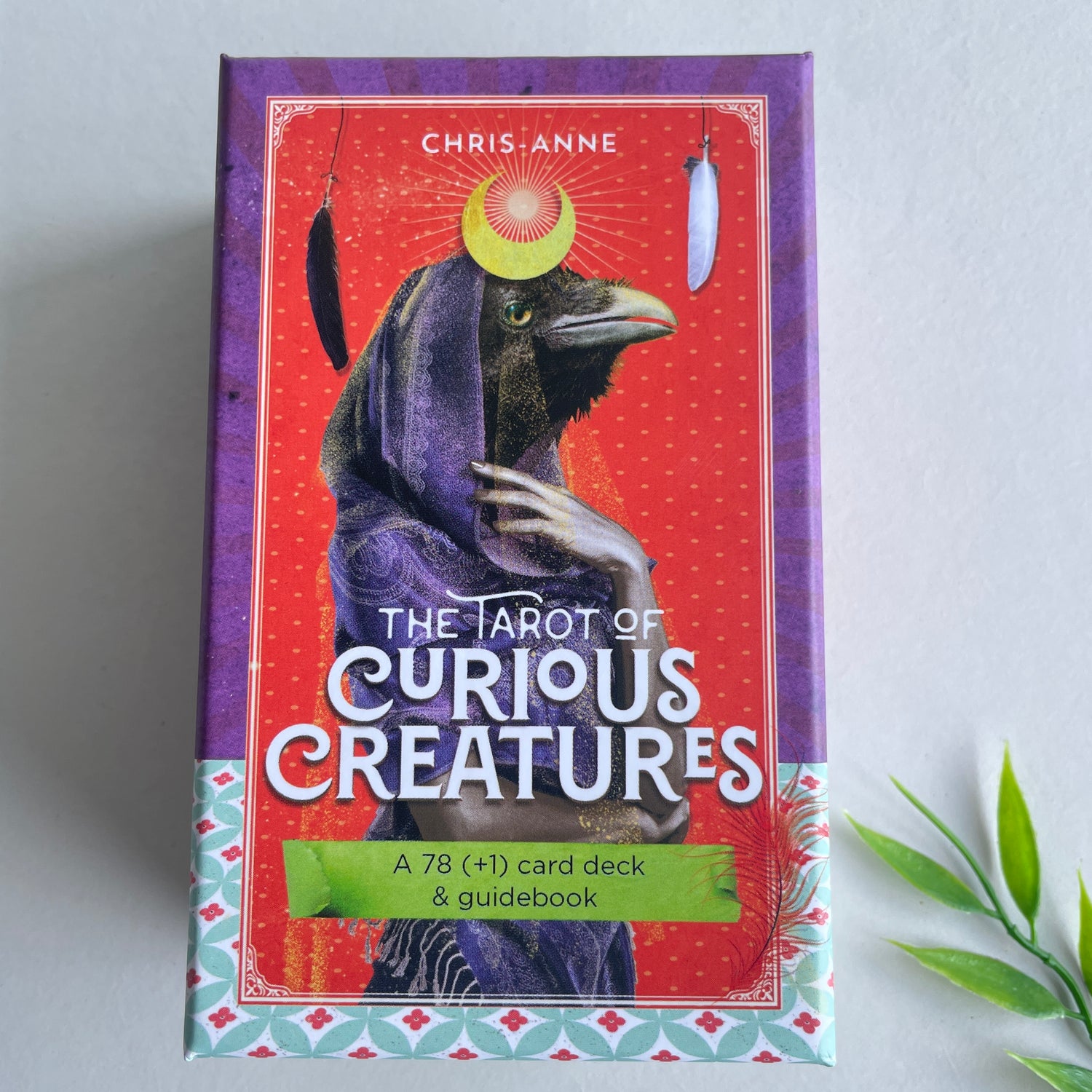 Tarot Of Curious Creatures Chris Anne