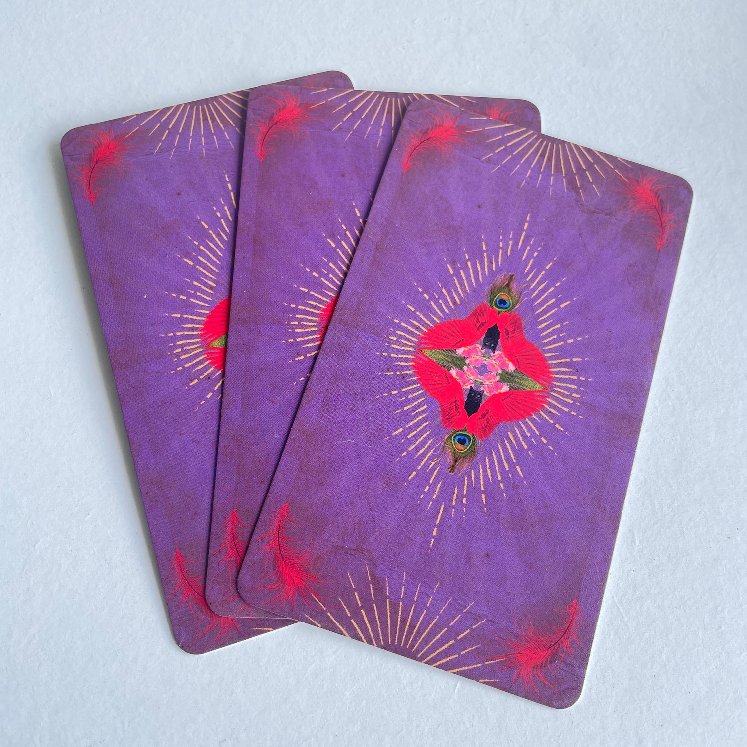 Tarot Of Curious Creatures Chris Anne