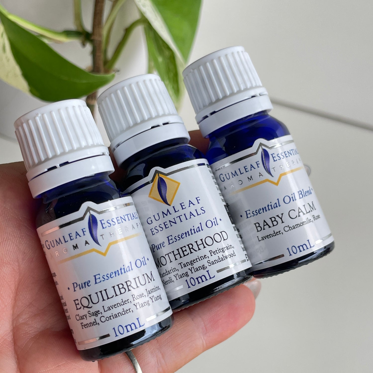 Gumleaf Mother Trio Essential Oil Set