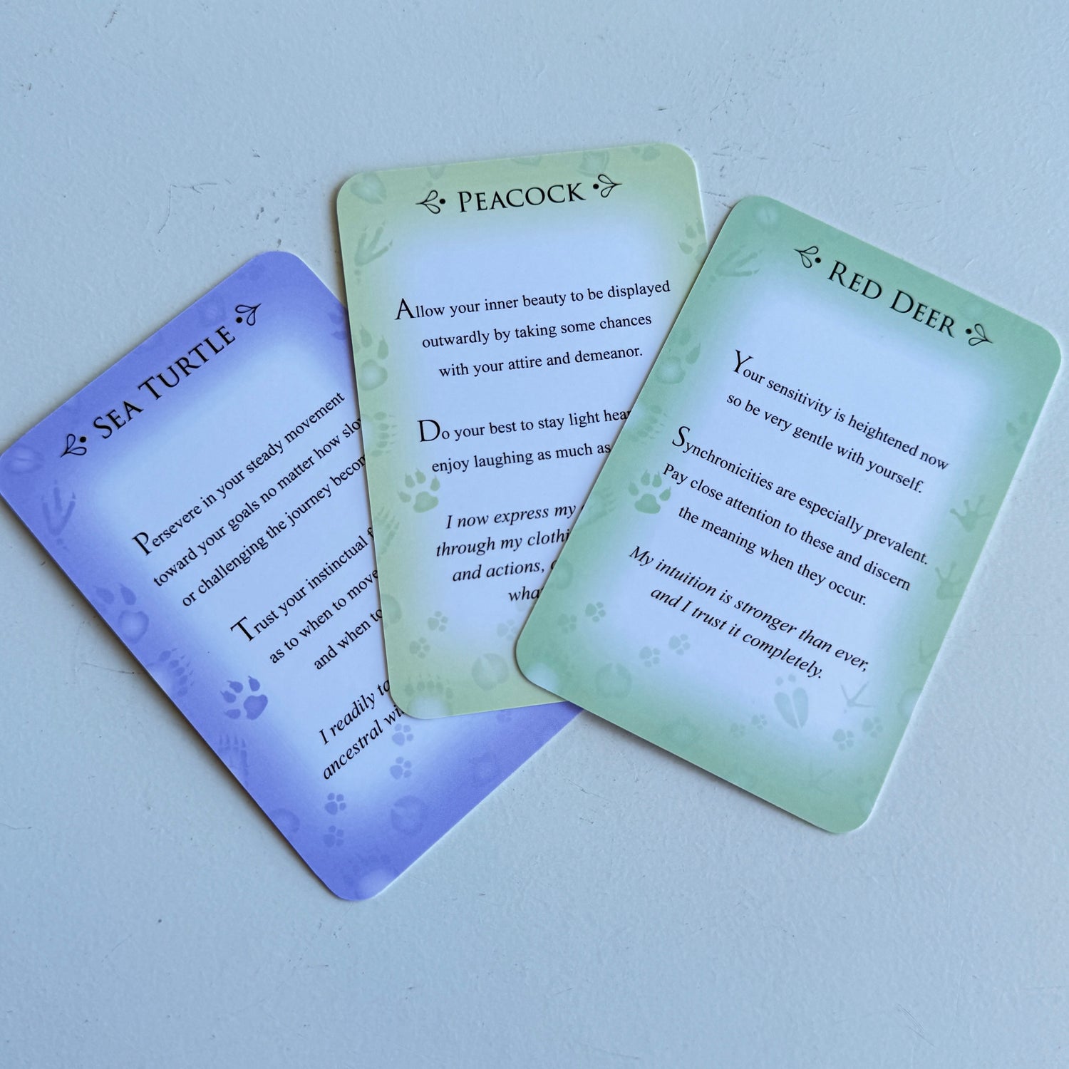 Spirit Animals Message Cards Stephen Farmer