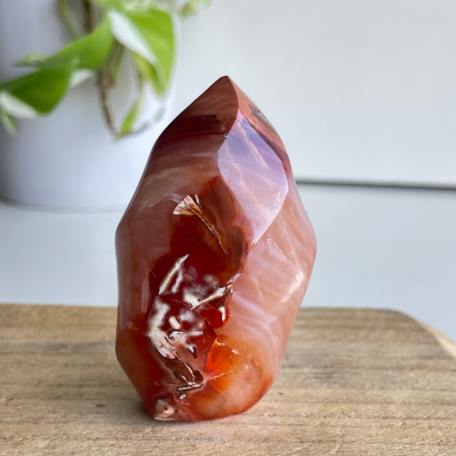 Carnelian Flame 7.2cm