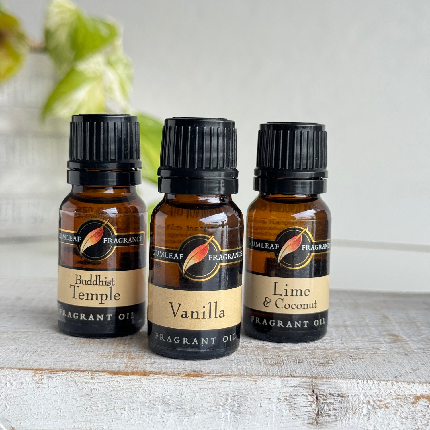 Gumleaf Fragrance Oil
