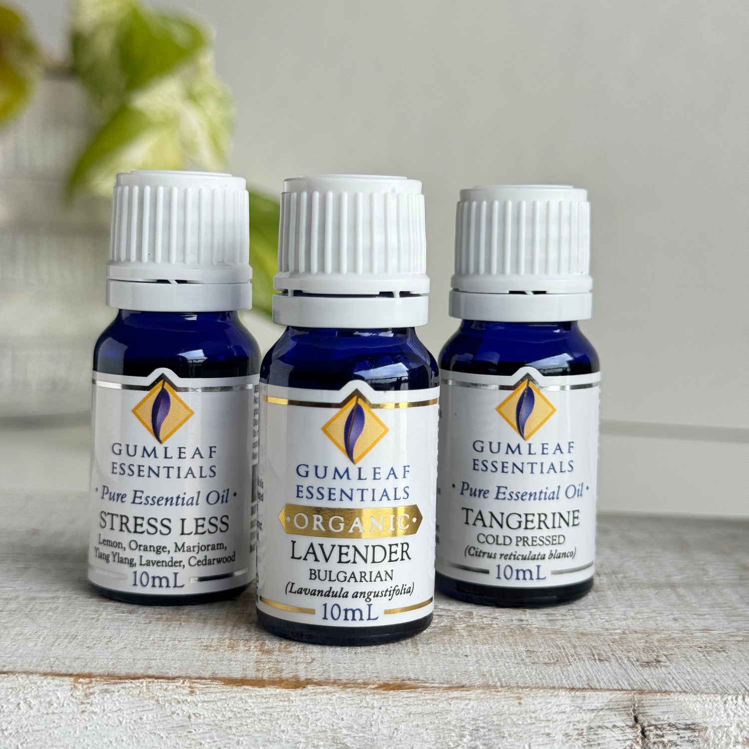 Gumleaf Essential Oils