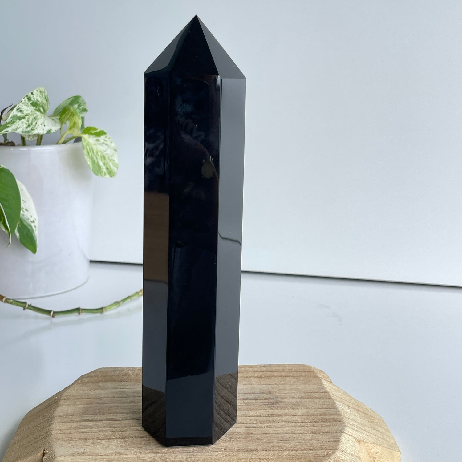 Black Obsidian Generator 20.6cm