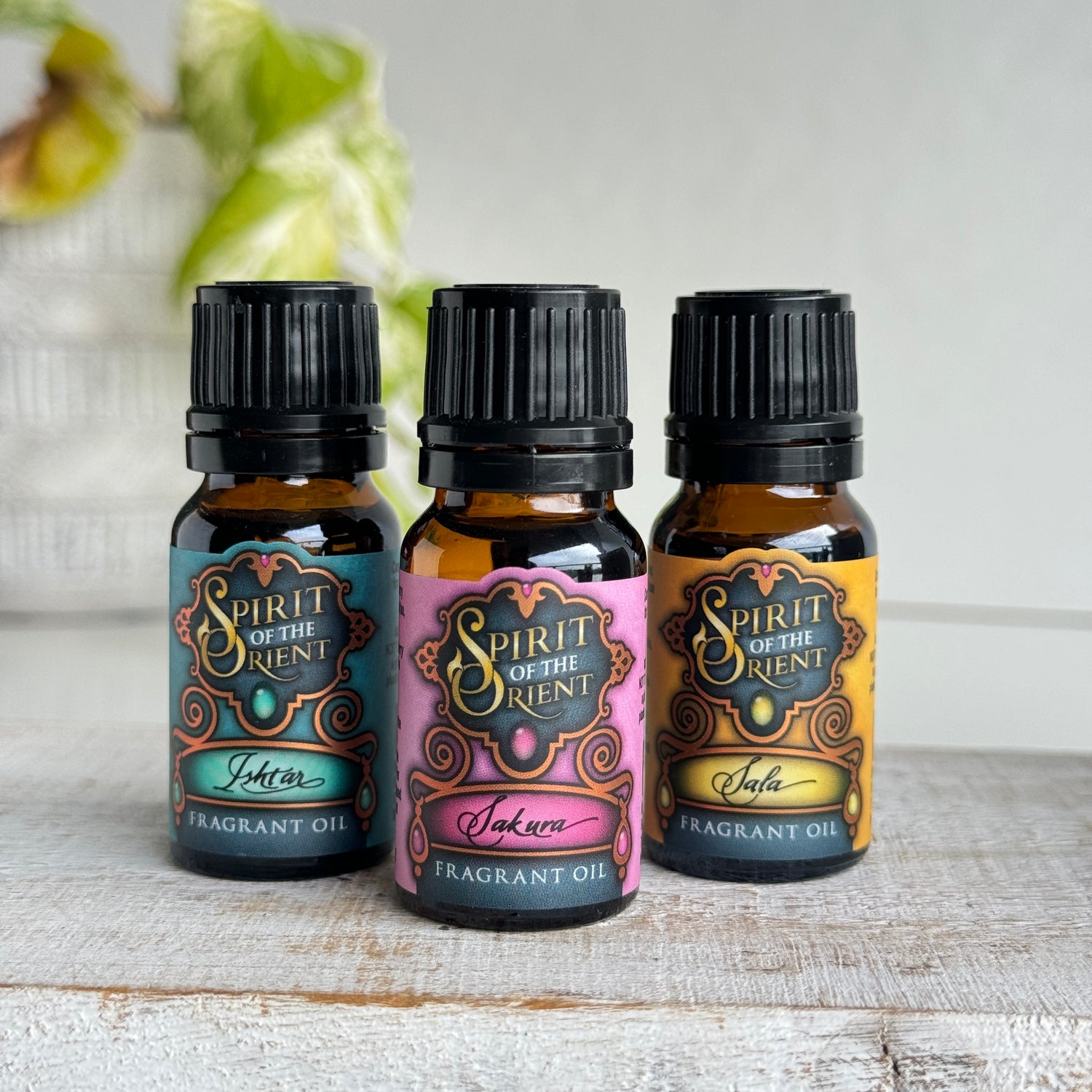 Gumleaf Fragrance Oil