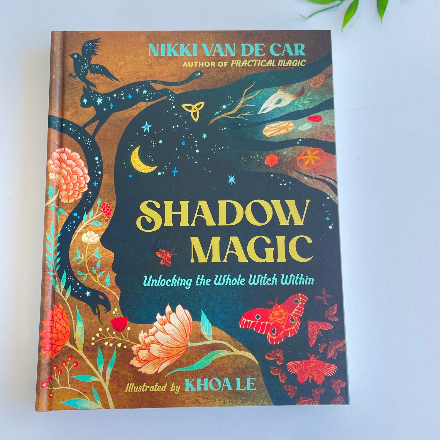 Shadow Magic Nikki Van De Car