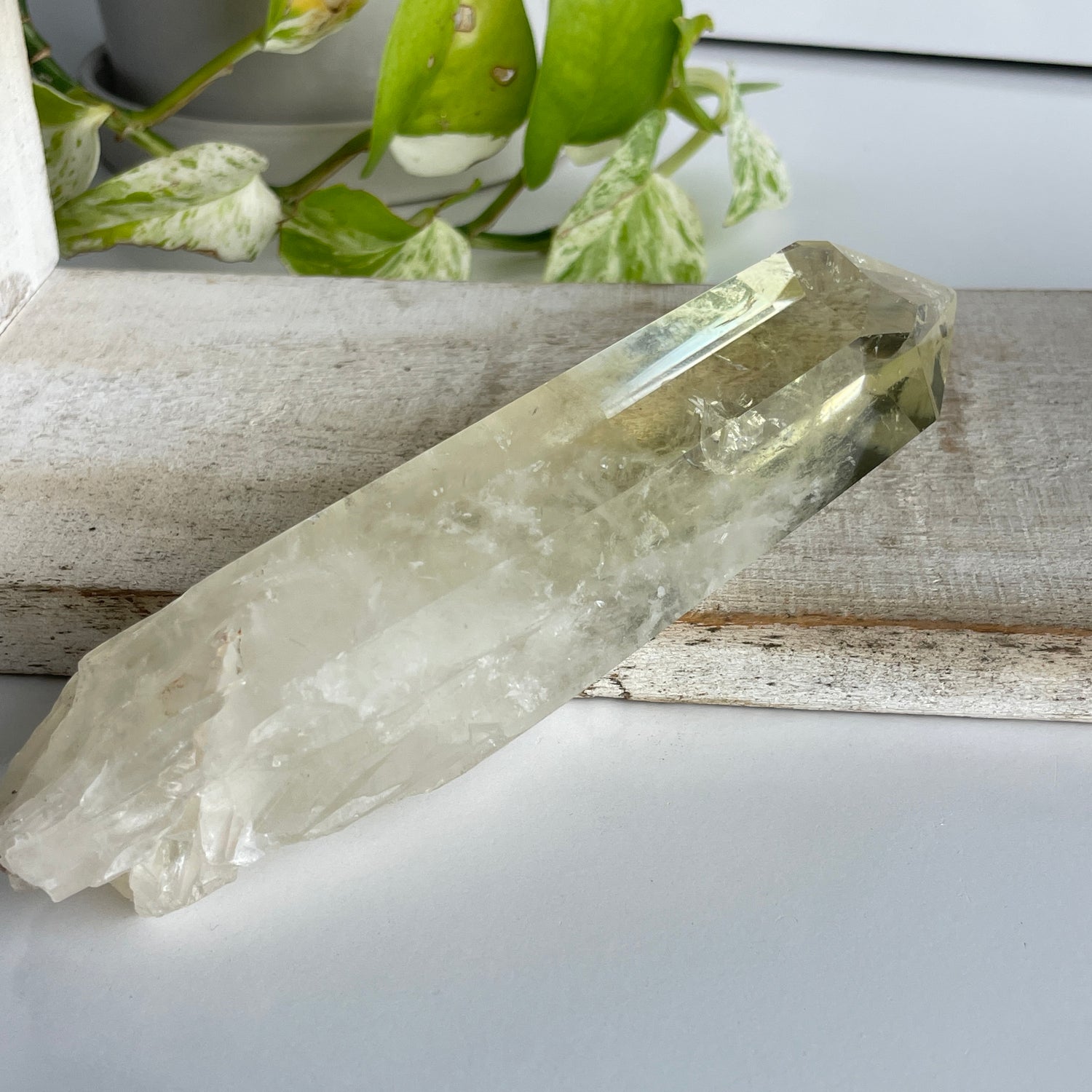 Lemon Quartz Point ( Chipped Tip ) 15.7cm