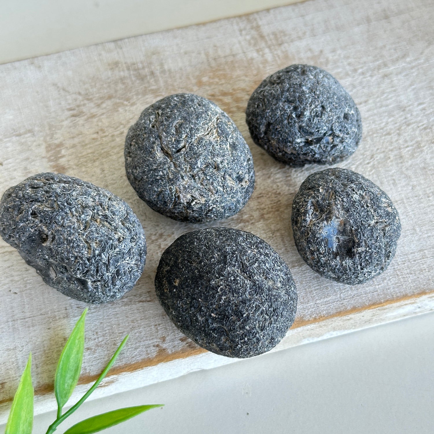 Agni Manitite Pce Rough