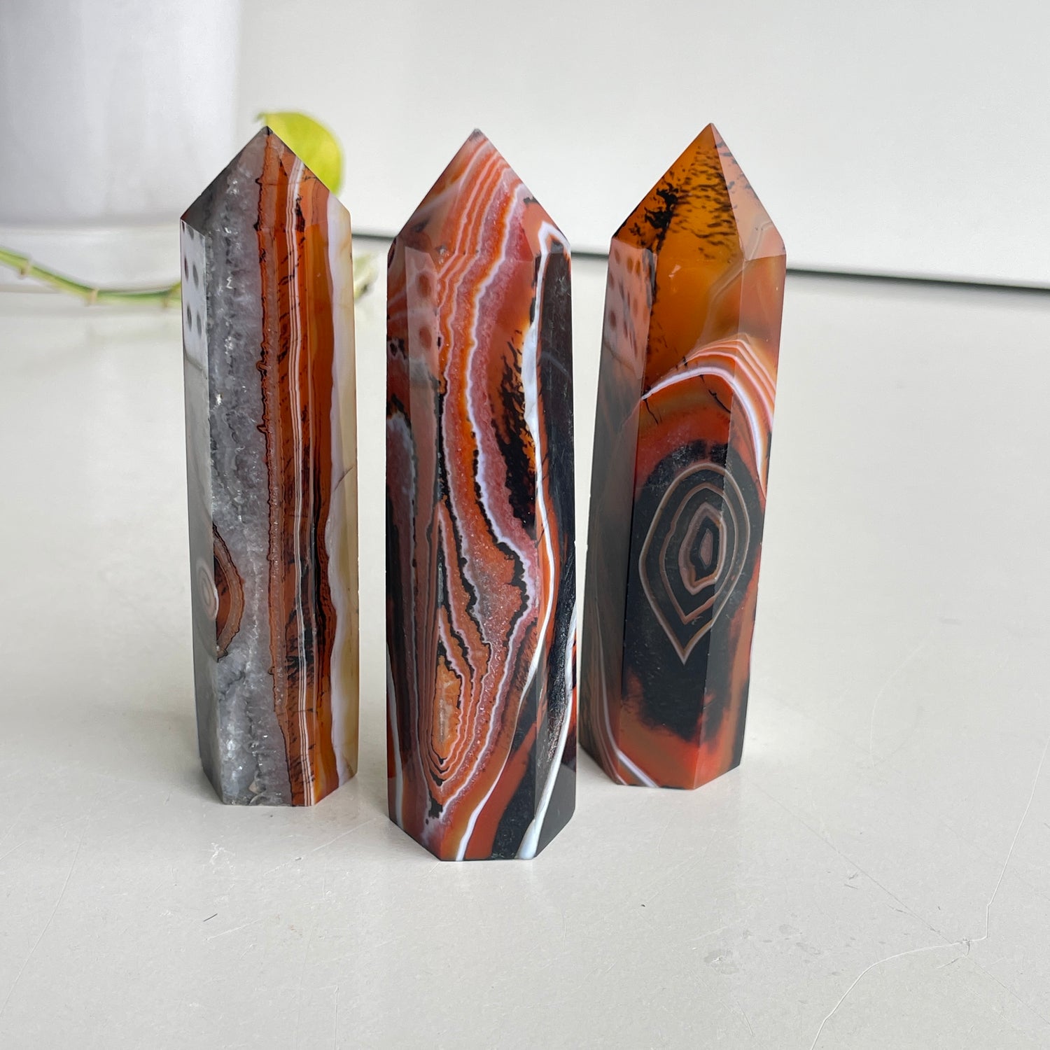 Sardonyx Generator Med