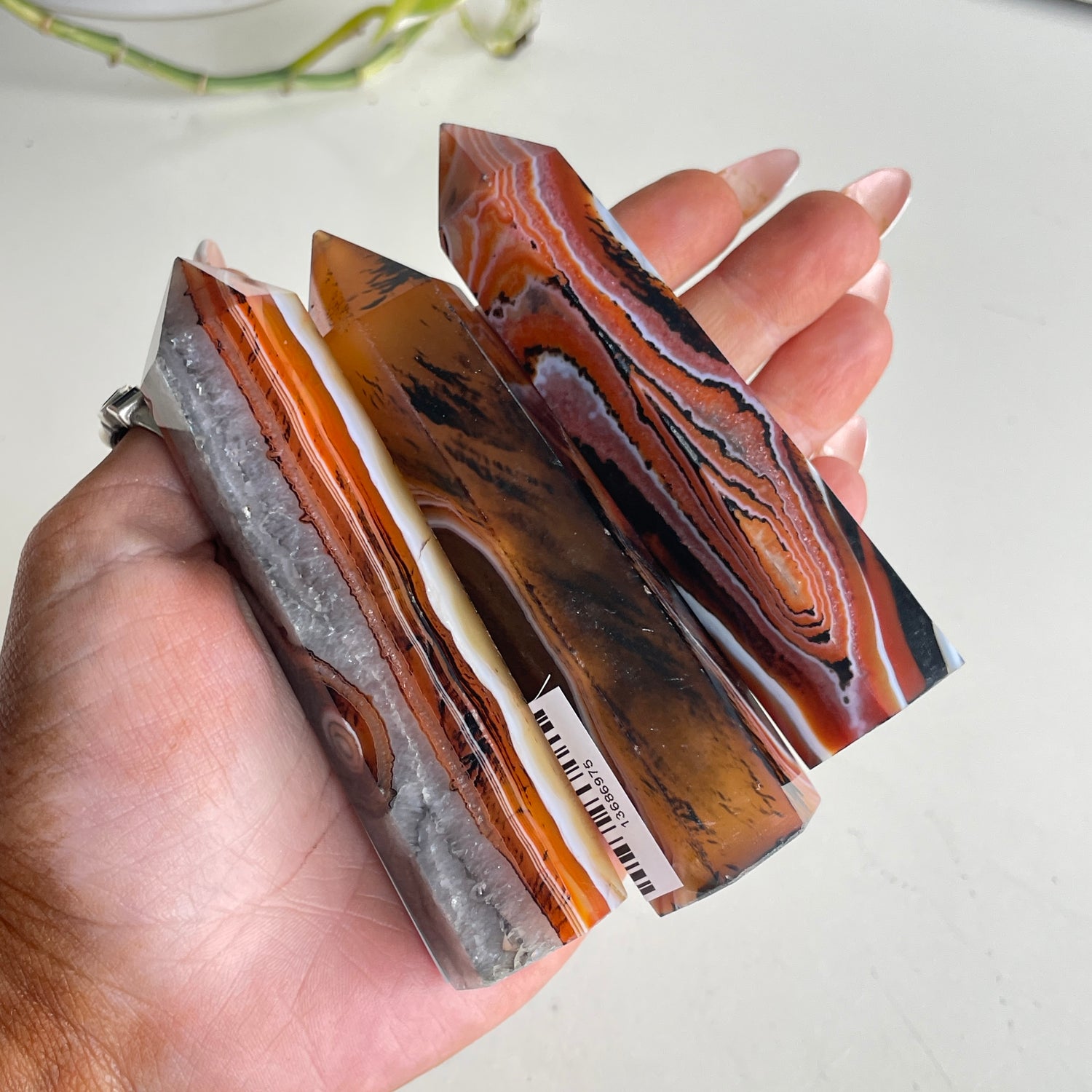 Sardonyx Generator Med