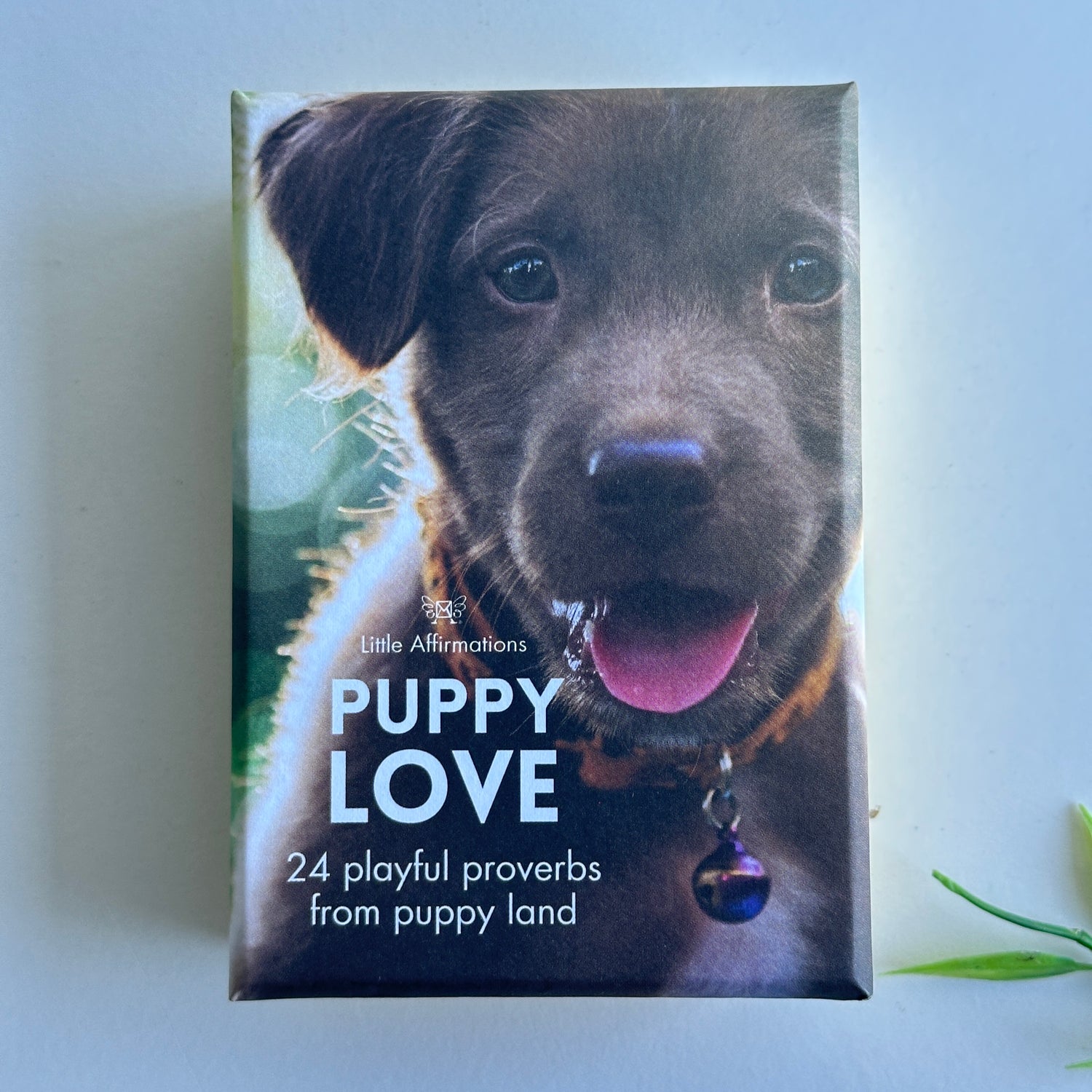 Puppy Love Little Affirmations