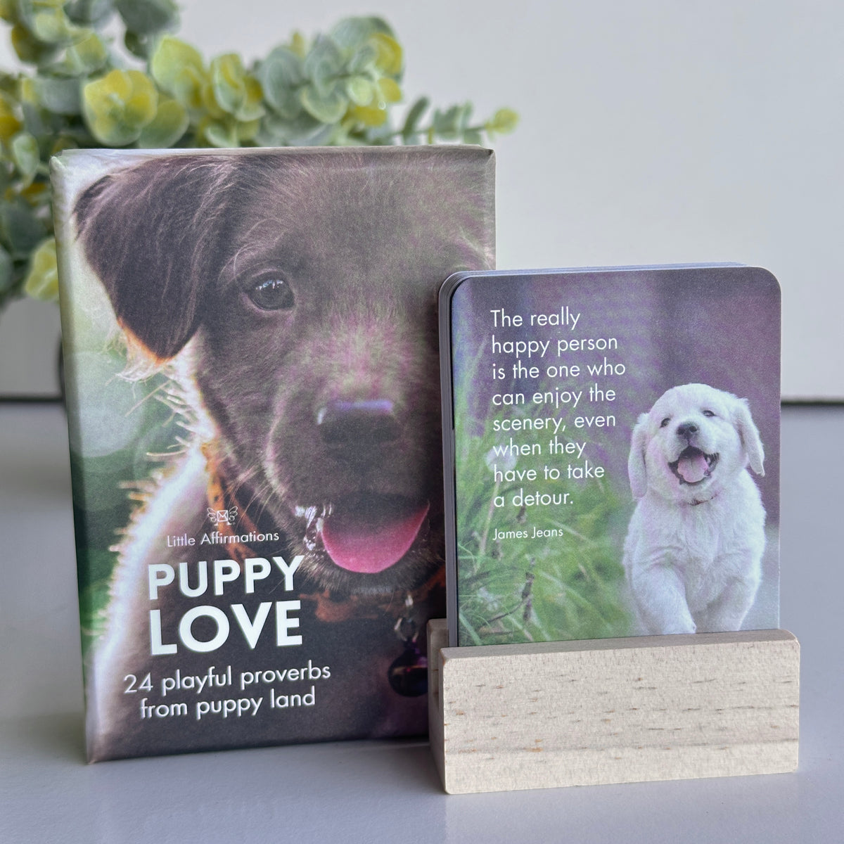 Puppy Love Little Affirmations