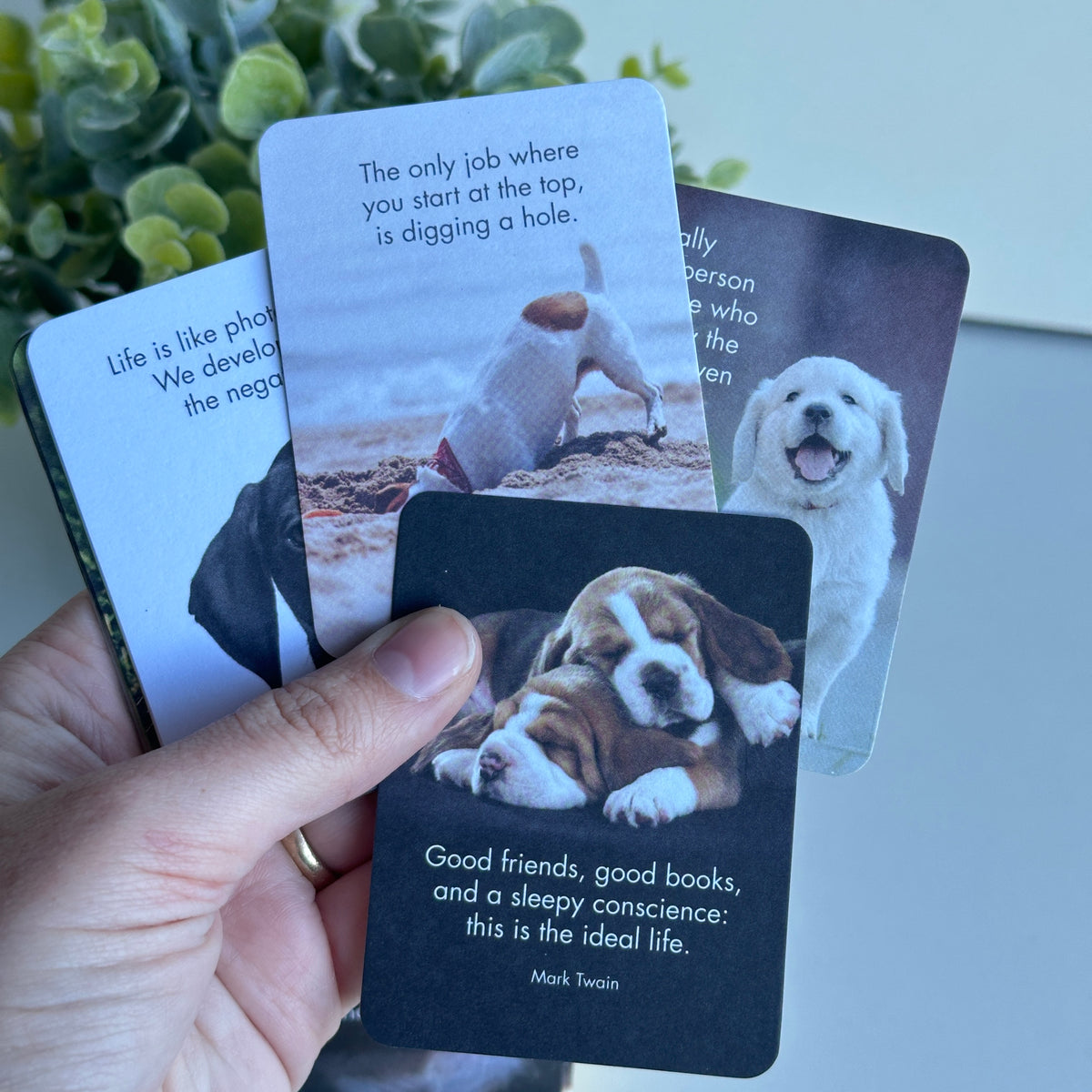 Puppy Love Little Affirmations