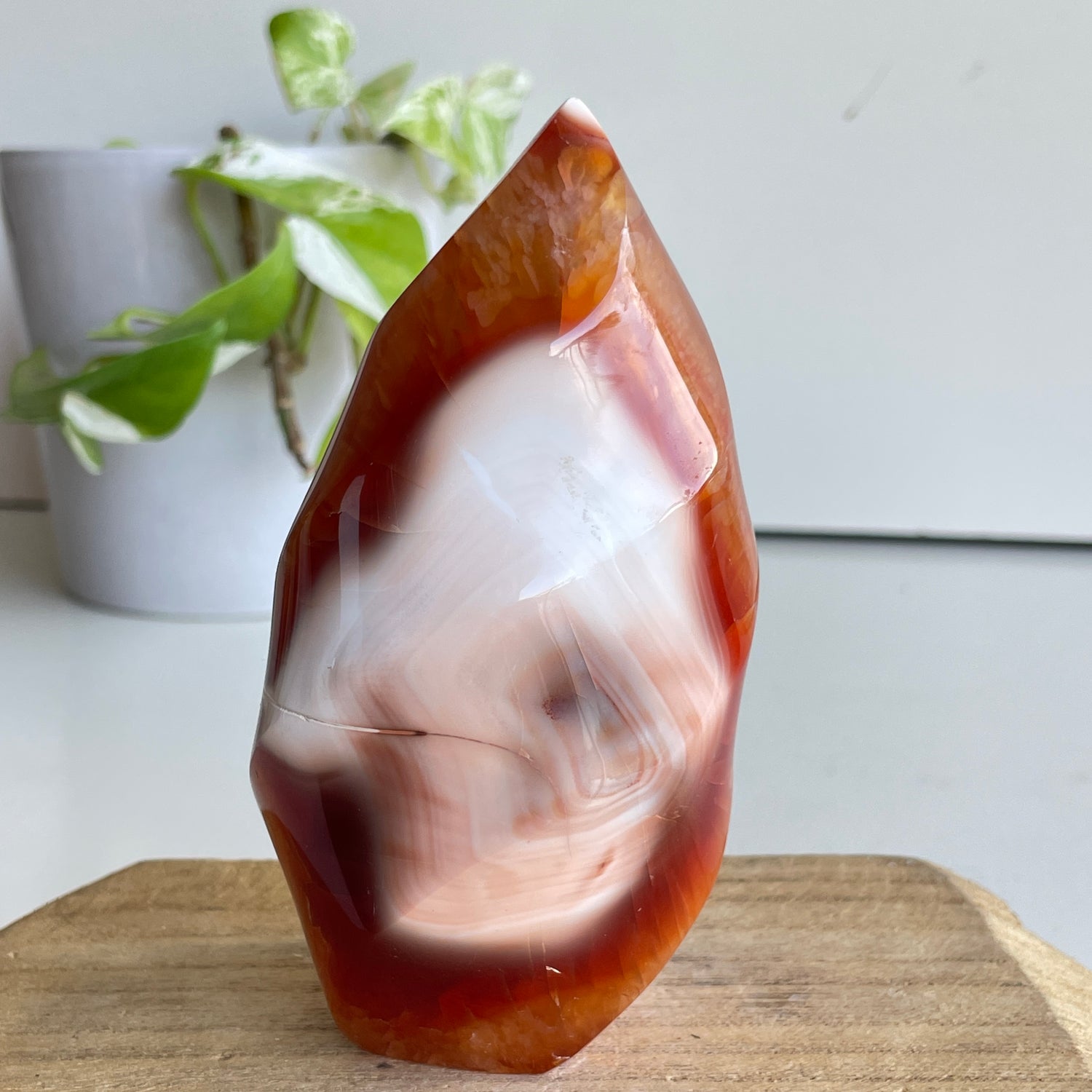 Carnelian Flame 12.1cm