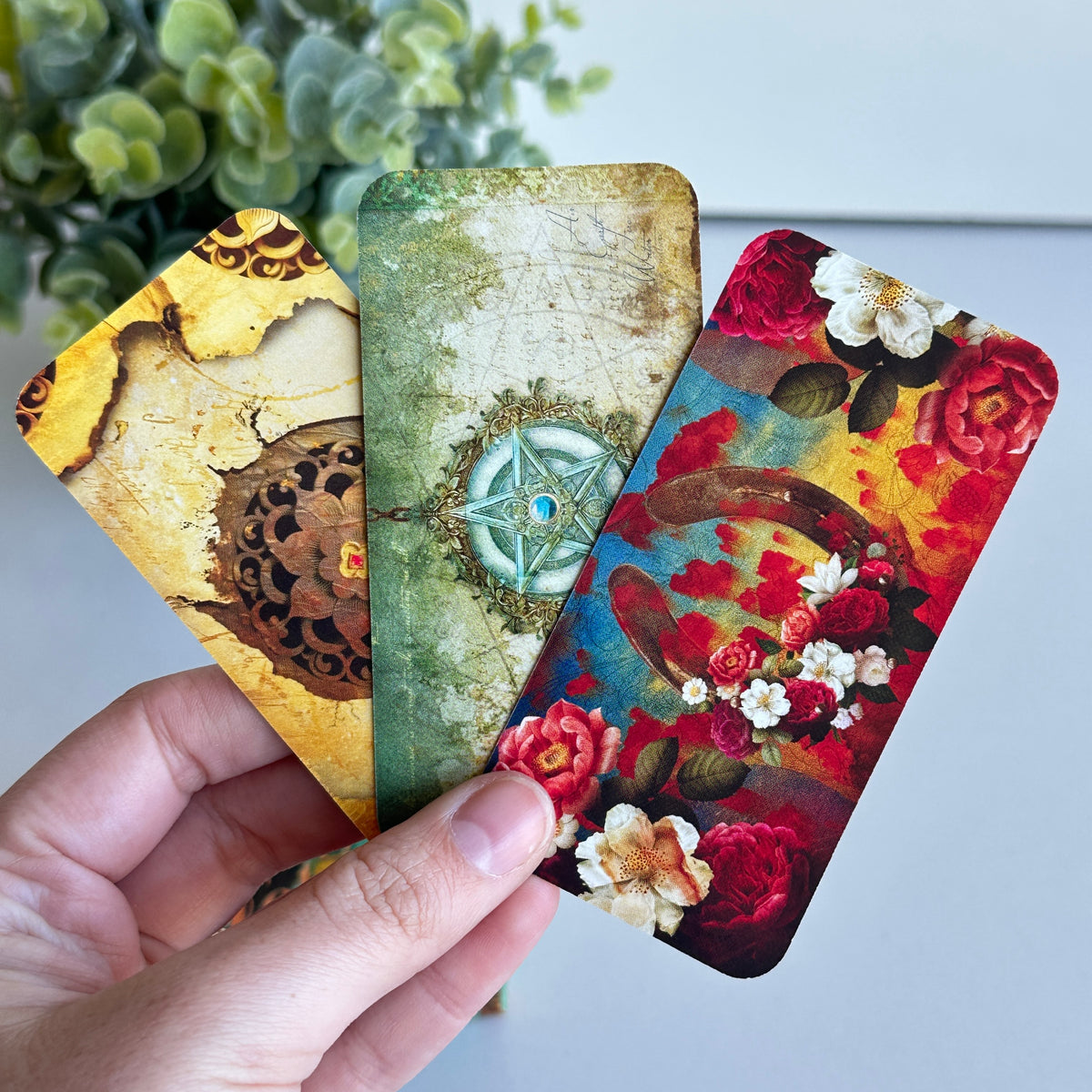 Talismans & Tokens Cards Jena Dellagrottaglia
